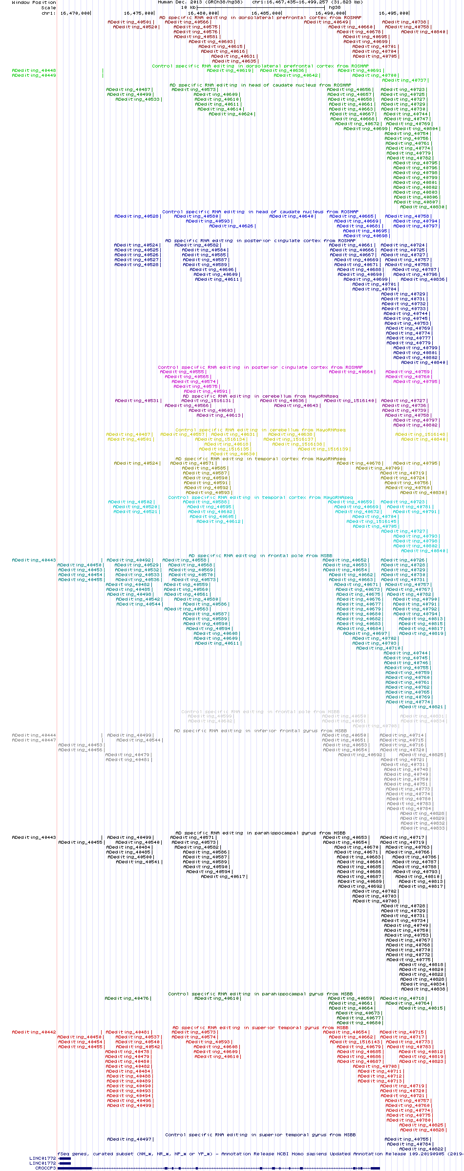 all structure