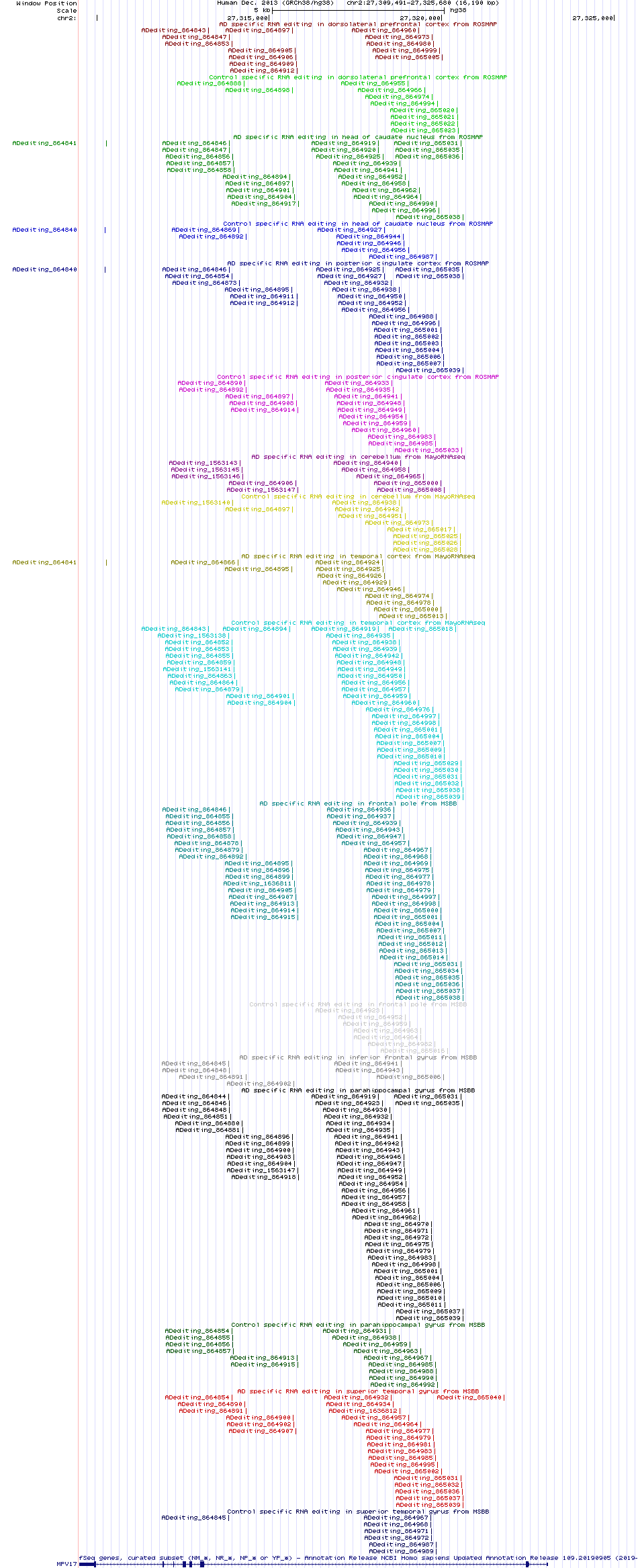 all structure