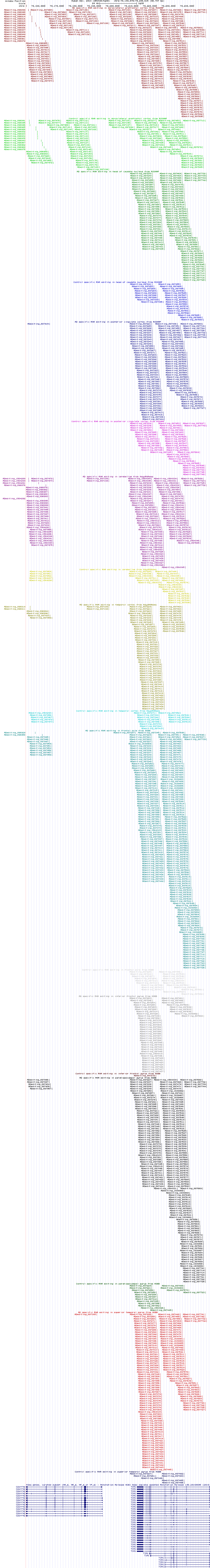 all structure