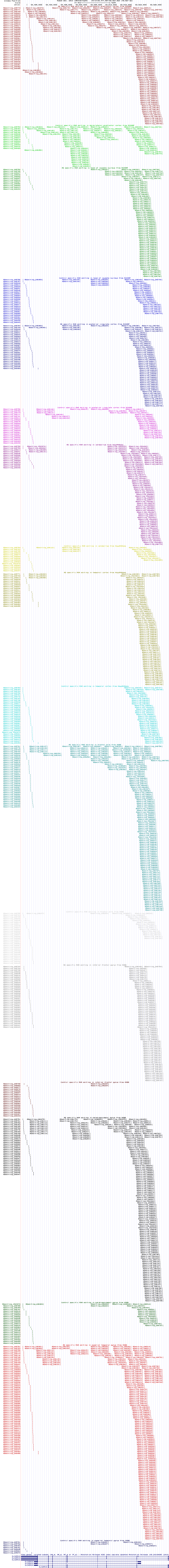 all structure