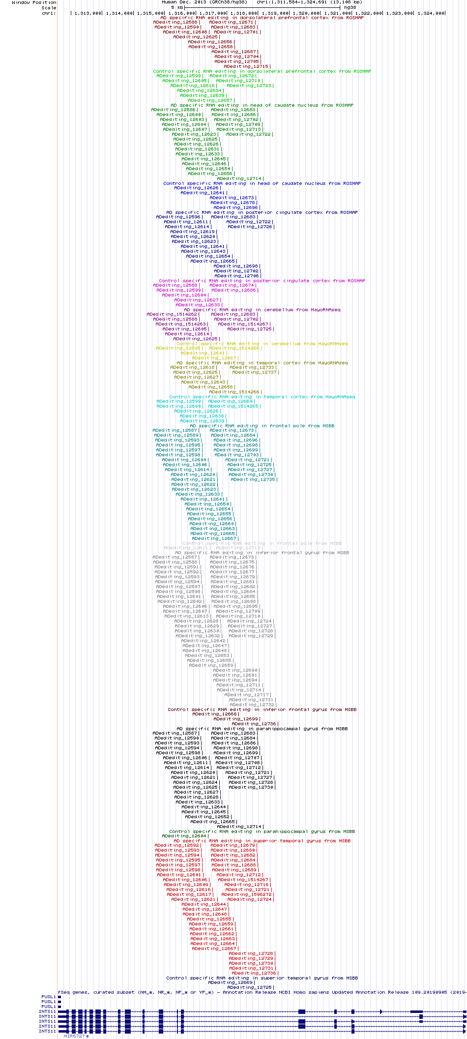 all structure