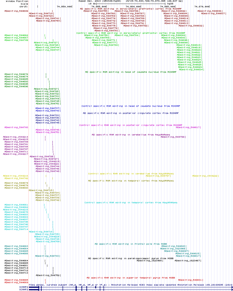 all structure