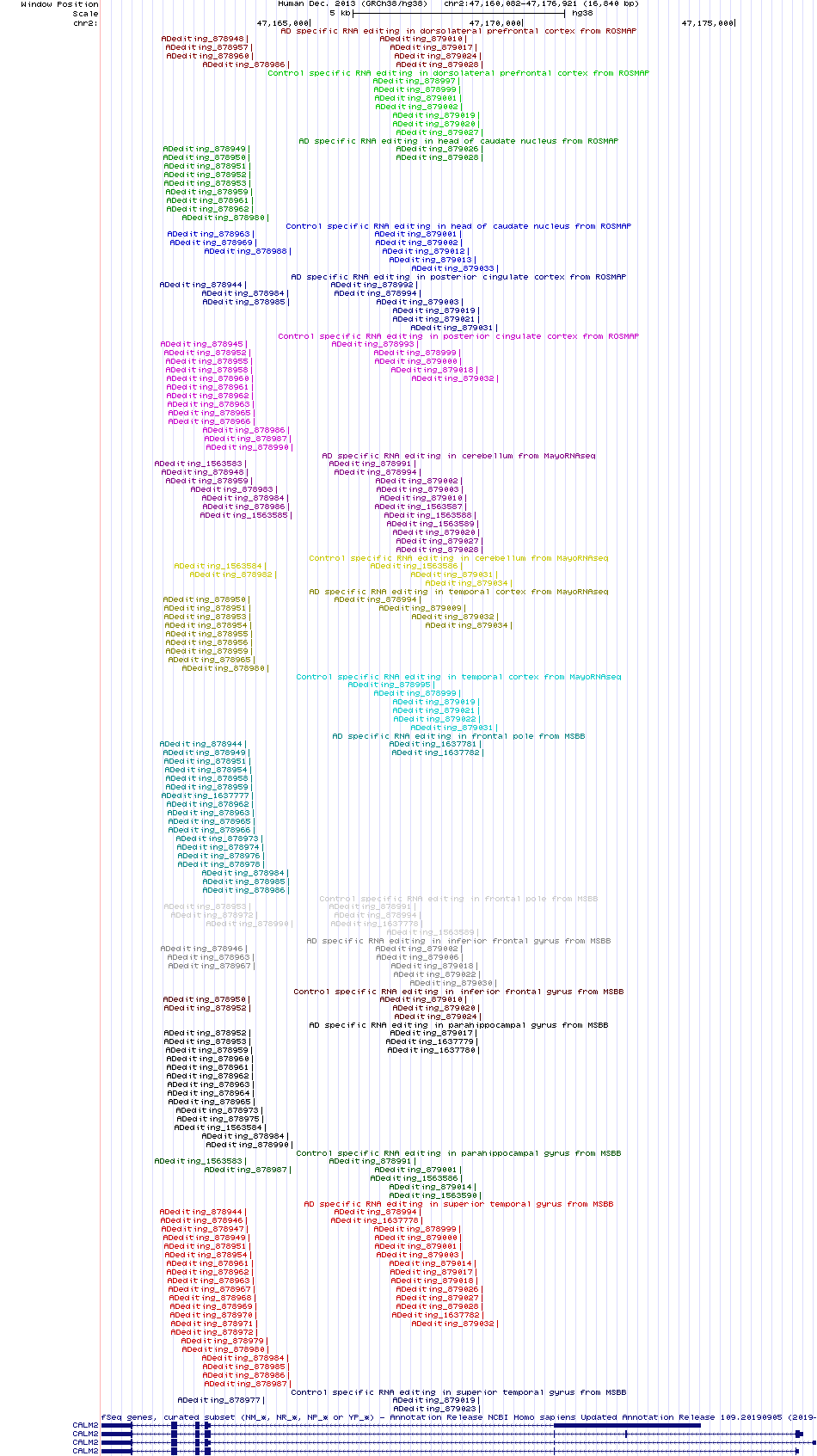 all structure