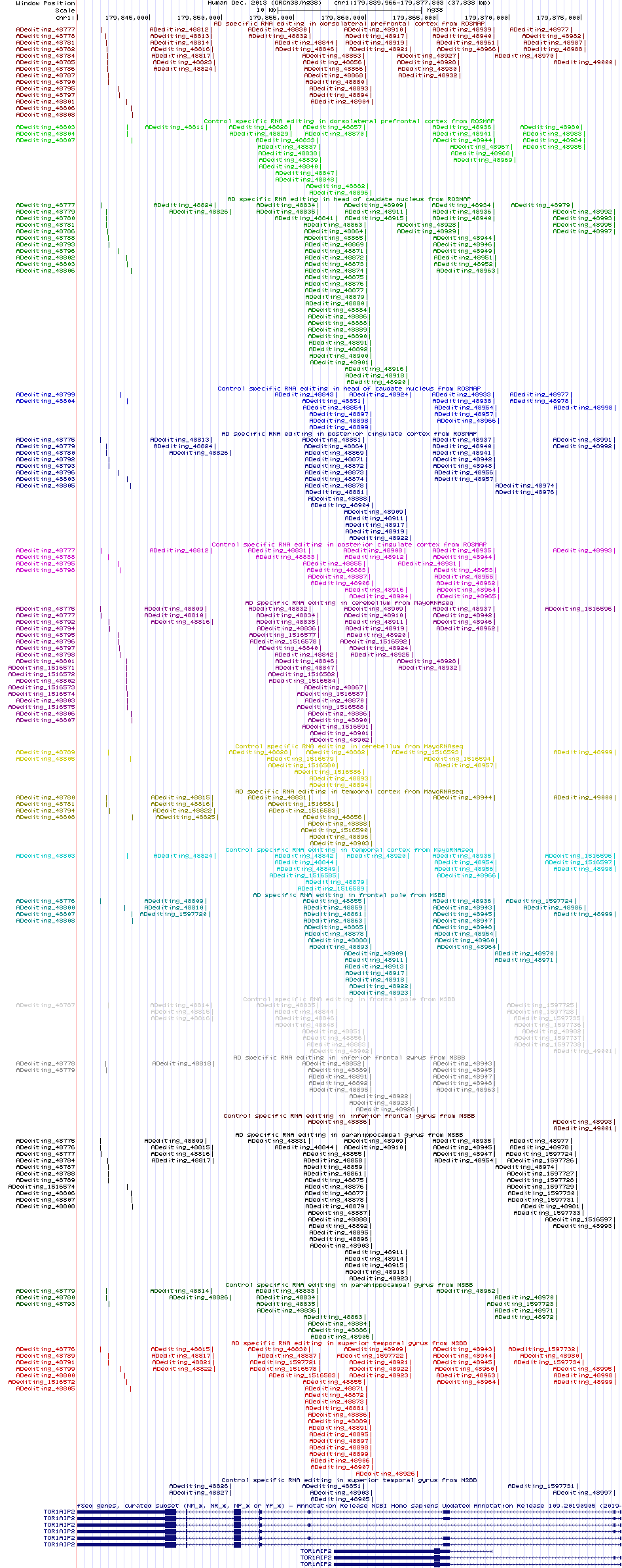 all structure