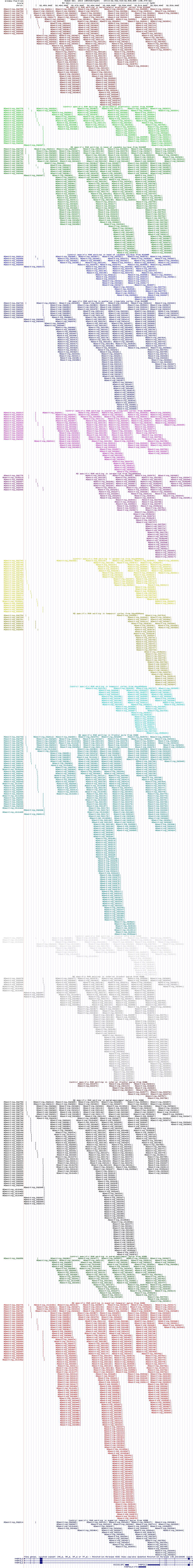 all structure