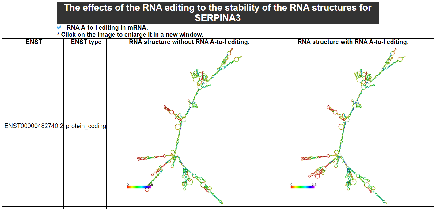 The effects of the RNA editing to the stability of the RNA structures category