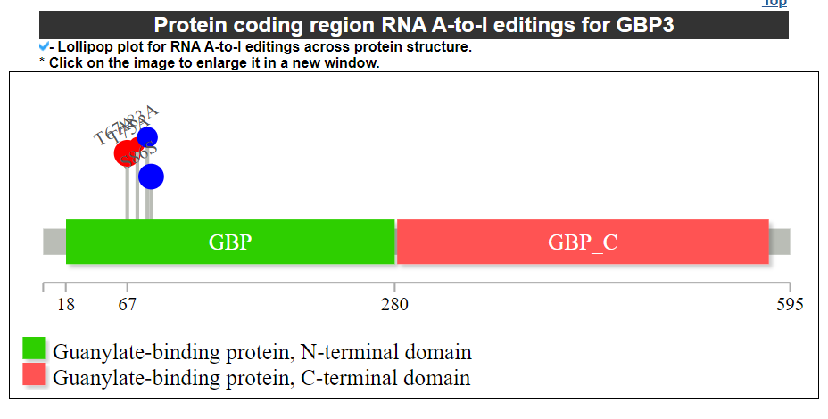 Protein coding region RNA A-to-I editings category