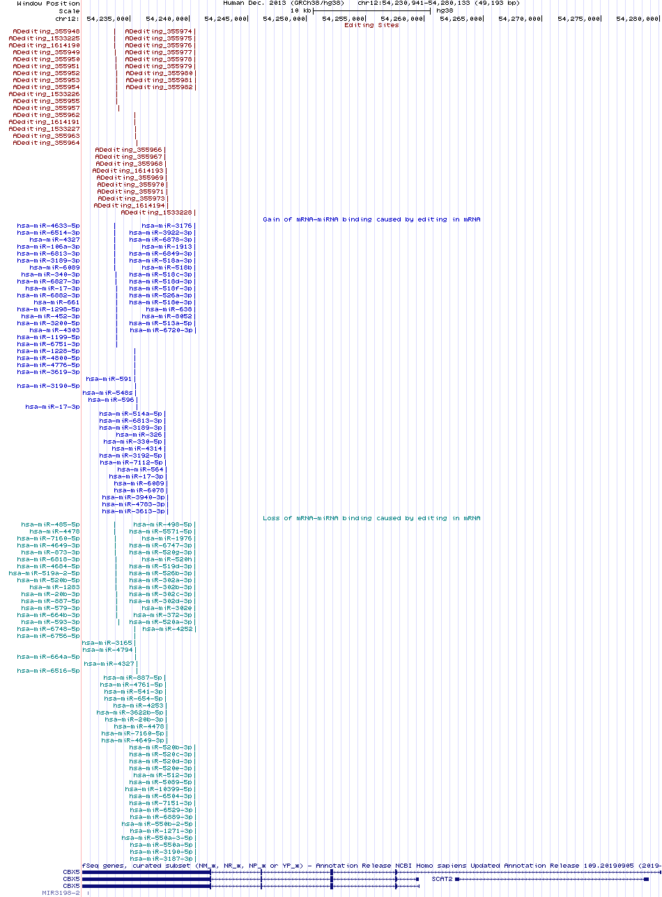 all structure