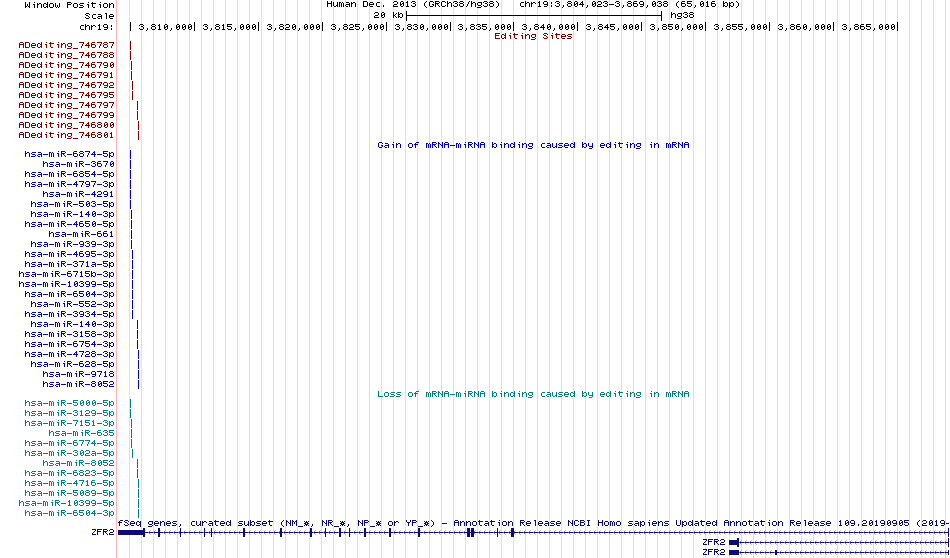 all structure