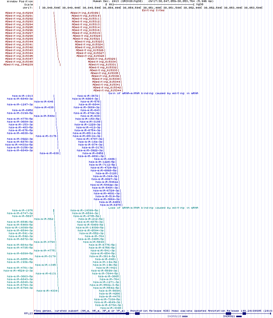 all structure