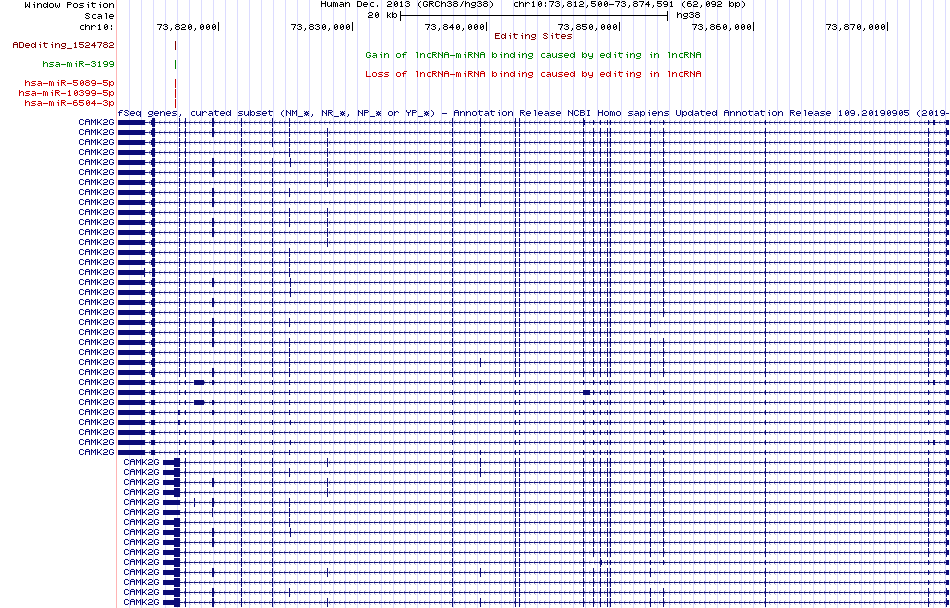 all structure