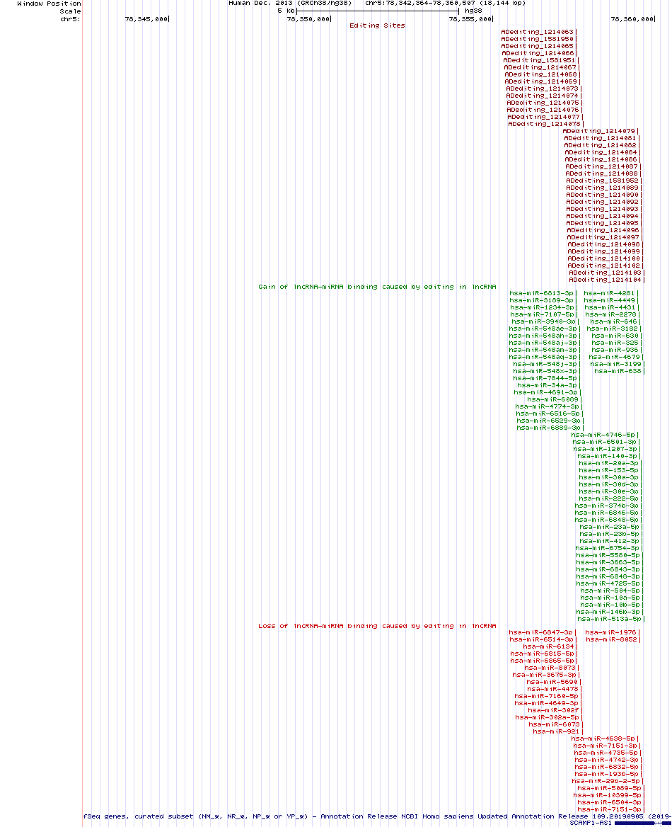 all structure