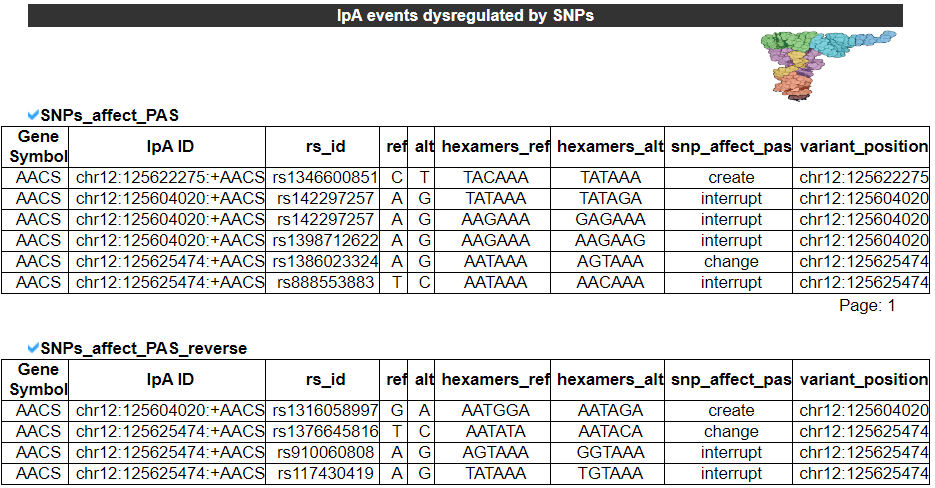 Related IpA events and drug information of AACS - An image showing the IpA events related FDA approved-drugs, it gives the basic information including Gene Symbol,	IpA ID,	UniProtAcc,	DrugBank ID,	Drug name,	Drug Activity,	Drug Type and	Drug Status