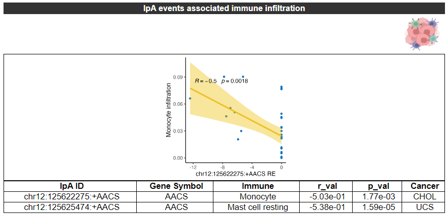 Related IpA events and drug information of AACS - An image showing the IpA events related FDA approved-drugs, it gives the basic information including Gene Symbol,	IpA ID,	UniProtAcc,	DrugBank ID,	Drug name,	Drug Activity,	Drug Type and	Drug Status