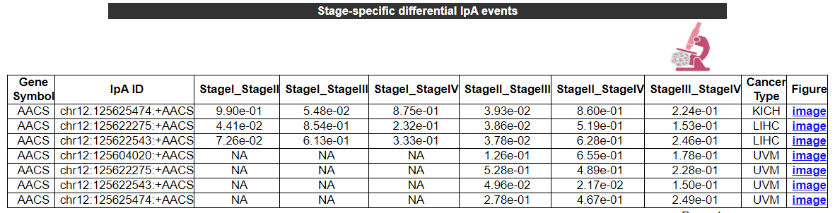 stage-specific differential IpA events of AACS - An image showing the result of stage-specific differential IpA events of AACS, it gives the basic information including Gene Symbol,	IpA ID,	p value of StageI_StageII,	StageI_StageIII,	StageI_StageIV,	StageII_StageIII,	StageII_StageIV	,StageIII_StageIV  and	Cancer Type.