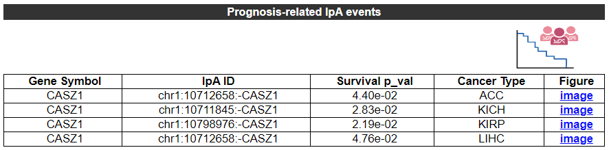 prognosis-related IpA events - An image showing the analysis result of prognosis-related IpA events, it gives the basic information including Gene Symbol,	IpA ID,	Survival p_val and	Cancer Type.