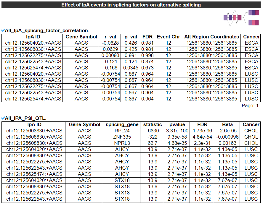 Effect of IpA events in RBPs on their targets - An image showing the analysis result of effect of IpA events in RBPs on their targets, it gives the basic information including Gene Symbol,	IpA ID,	RBP,	RBP IPA ID,	Target Gene,	Target Gene IPA ID,	r_val,	p_val and	Cancer Type.