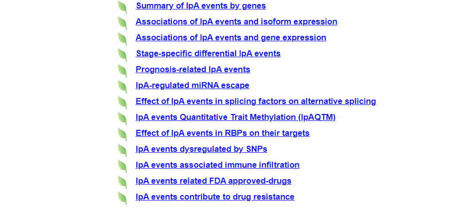 Annotation of IPAfunc includes Summary of IpA events by genes, Associations of IpA events and isoform expression, Associations of IpA events and gene expression, Stage-specific differential IpA events, Prognosis-related IpA events, IpA-regulated miRNA escape, Effect of IpA events in RBPs on their targets, IpA events dysregulated by SNPs and IpA events related FDA approved-drugs.