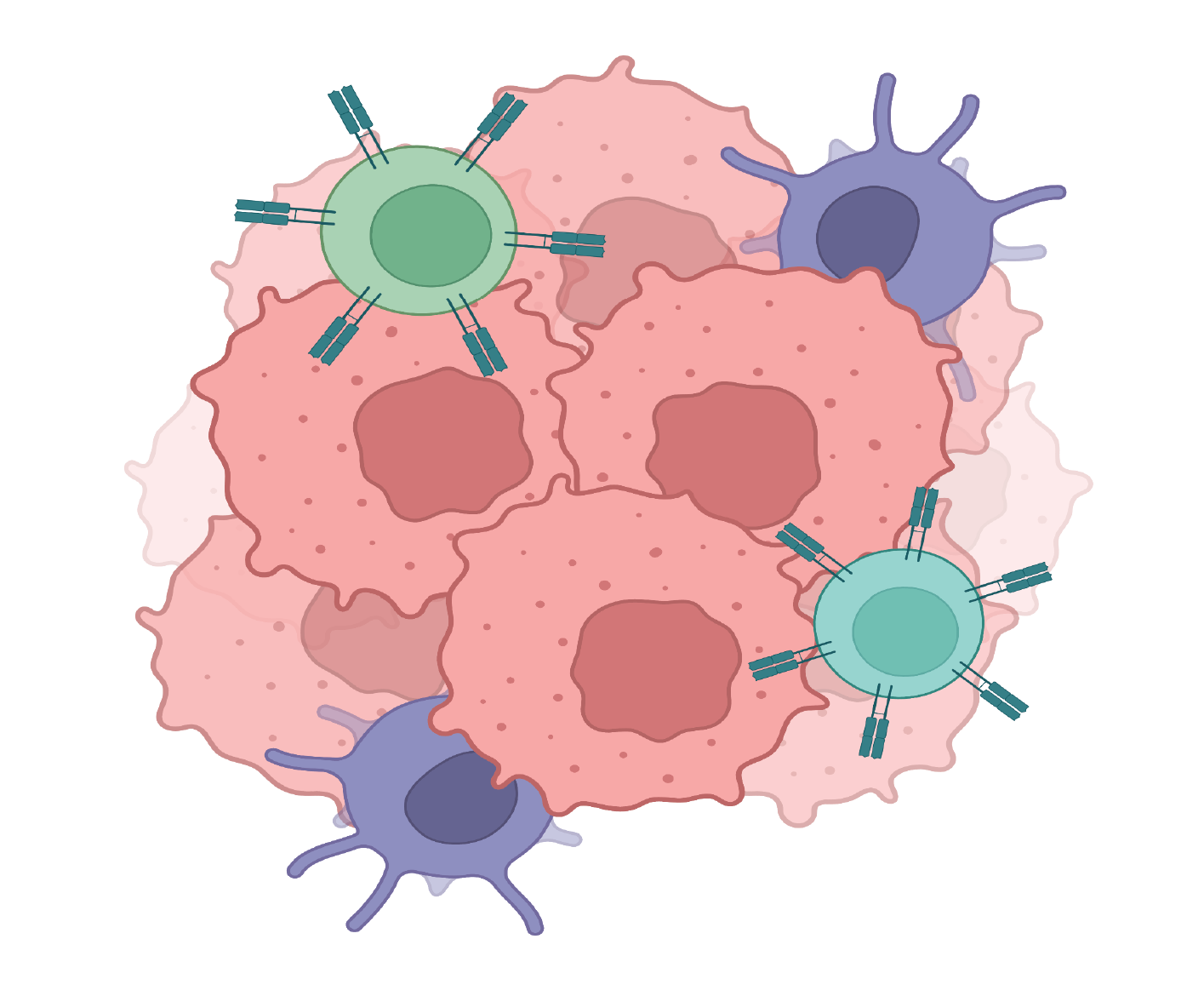 Immune cell proportion - An image showing the proportion of three immune cell types associated with alternative polyadenylation (IpA) events and immune cell infiltration