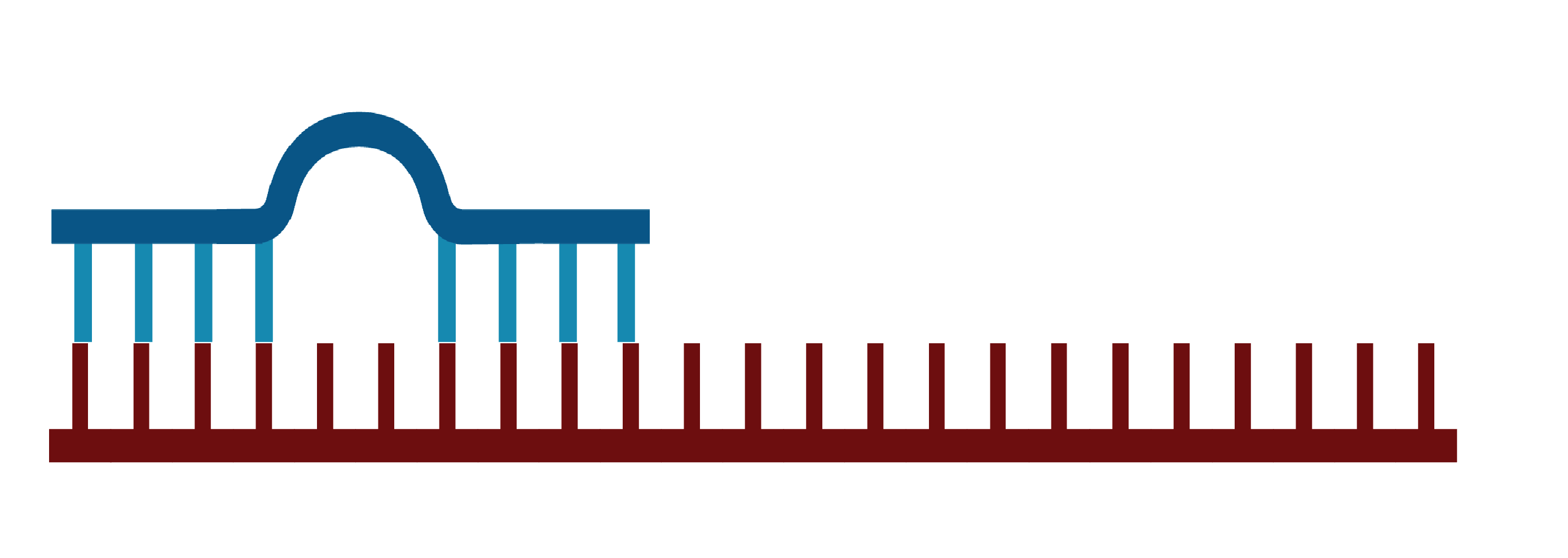 Micro RNA - An image showing the APA-regulated miRNA escape in cancer cells, highlighting the role of alternative polyadenylation in miRNA regulation