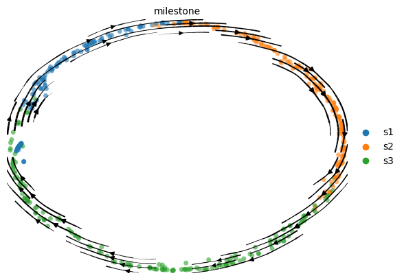 Velocyto Plot