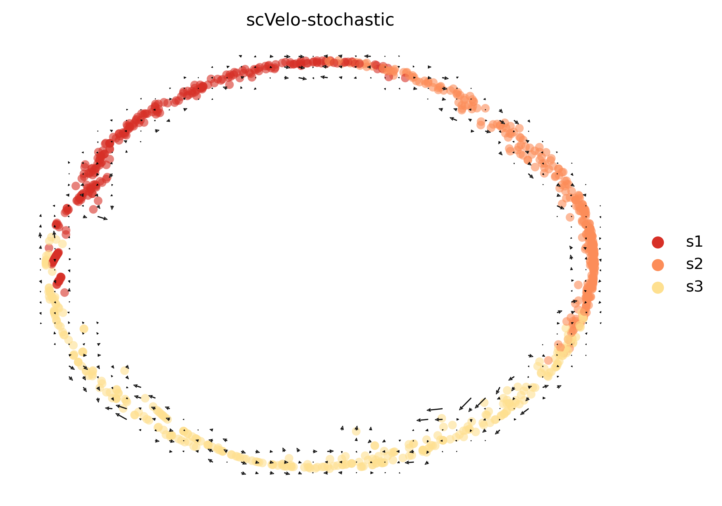 4_cycle_simple_cell1000_gene10000_grid
