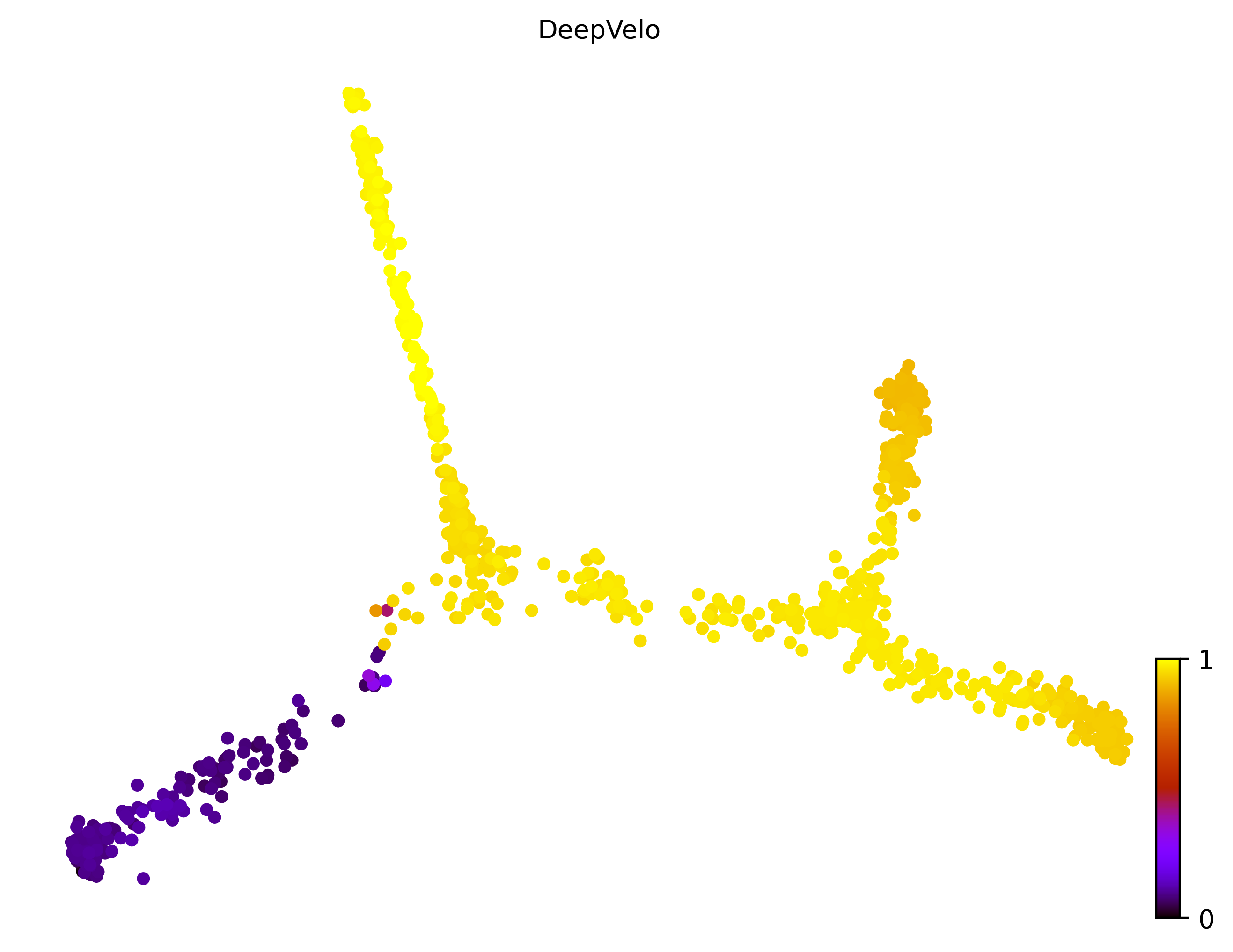 10_consecutive_bifurcating_cell1000_gene10000_pseudotime