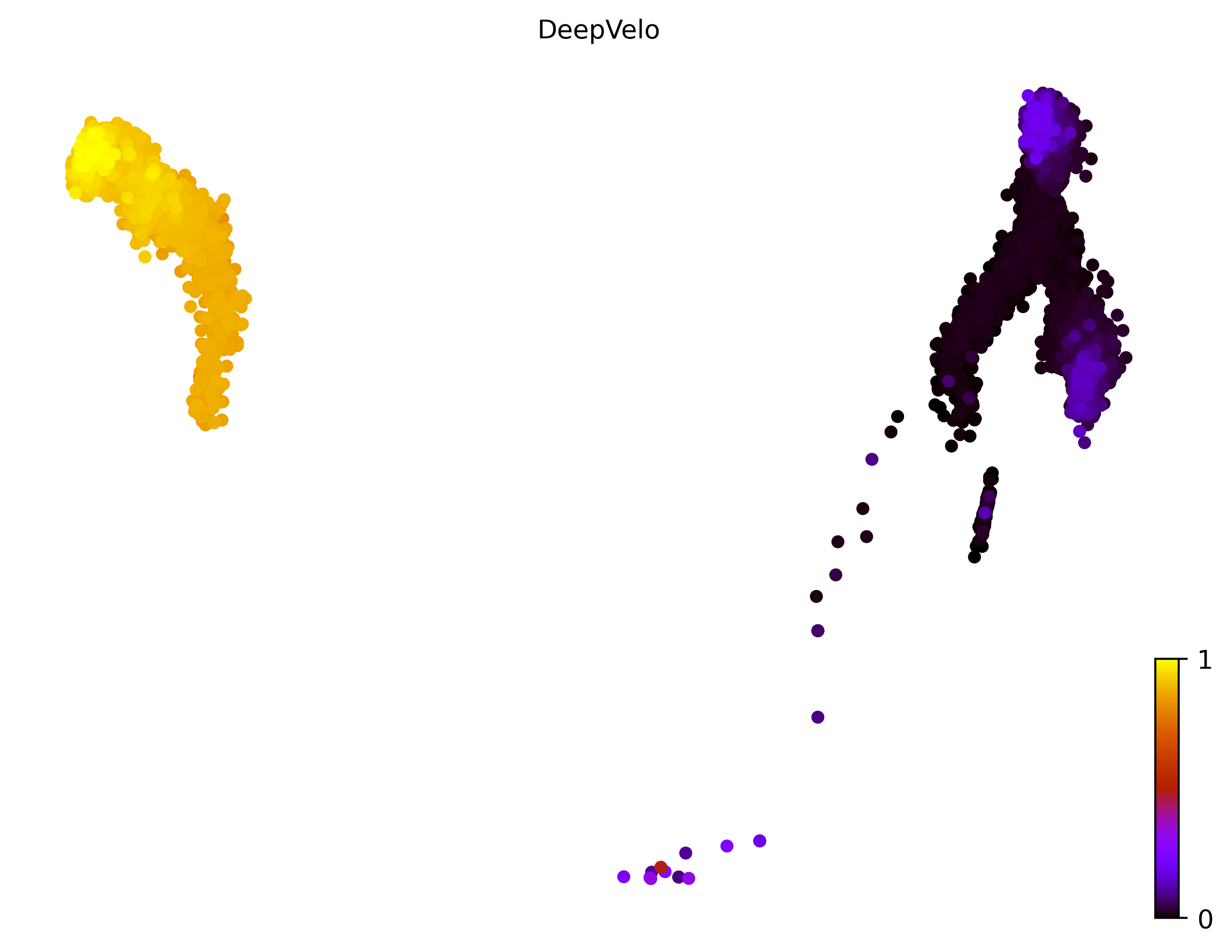 14_linear_bifurcating_cell10000_gene1000_pseudotime