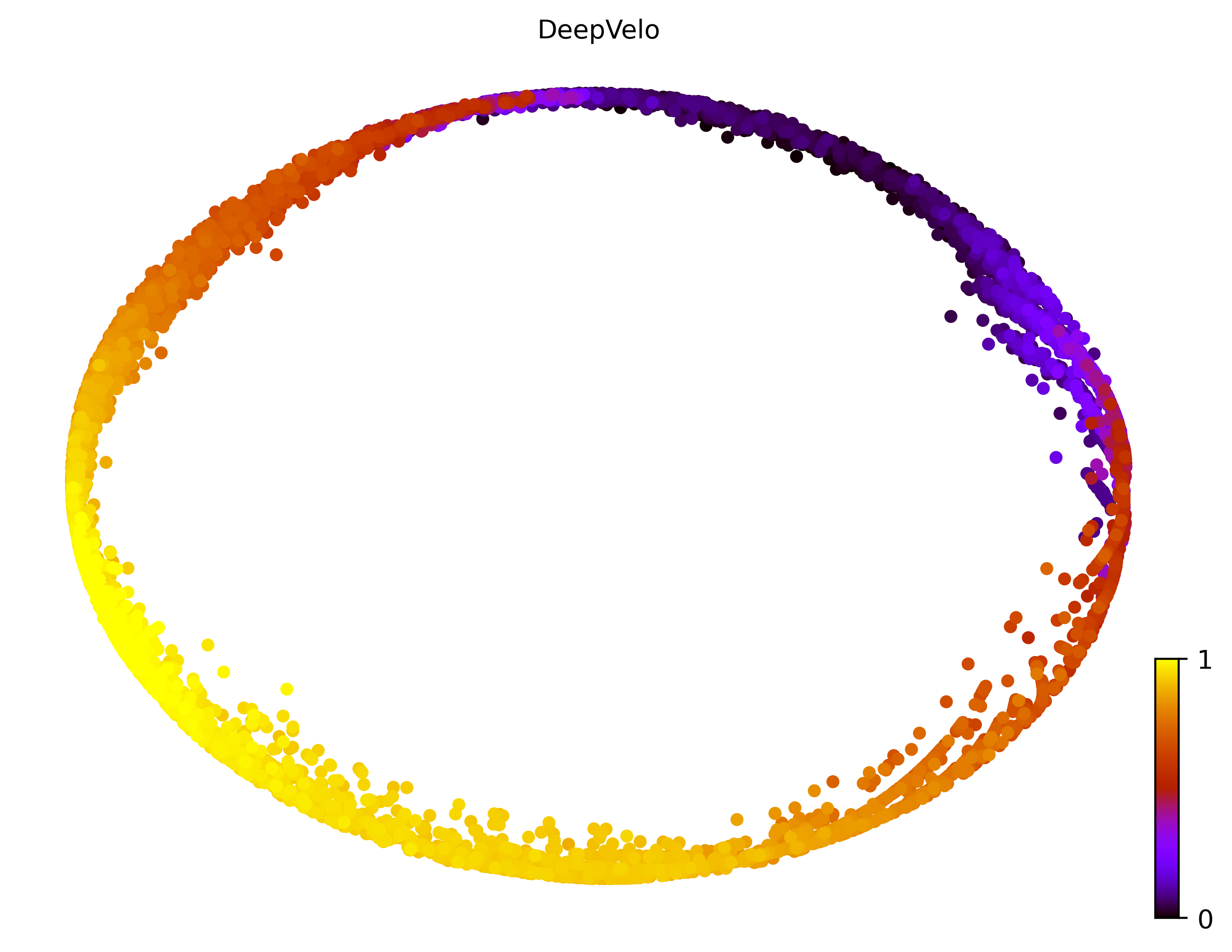 3_cycle_simple_cell10000_gene1000_pseudotime