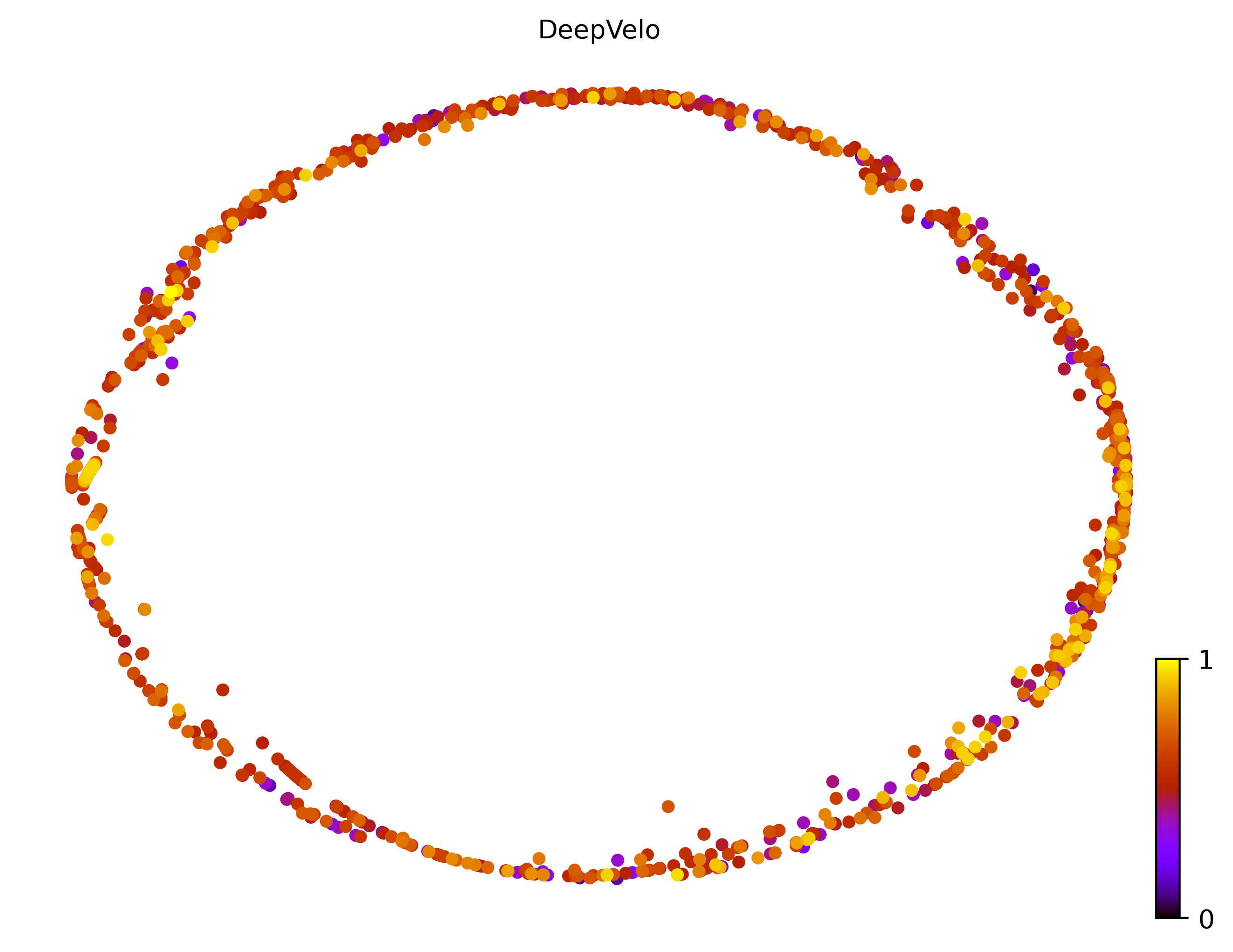 4_cycle_simple_cell1000_gene10000_pseudotime