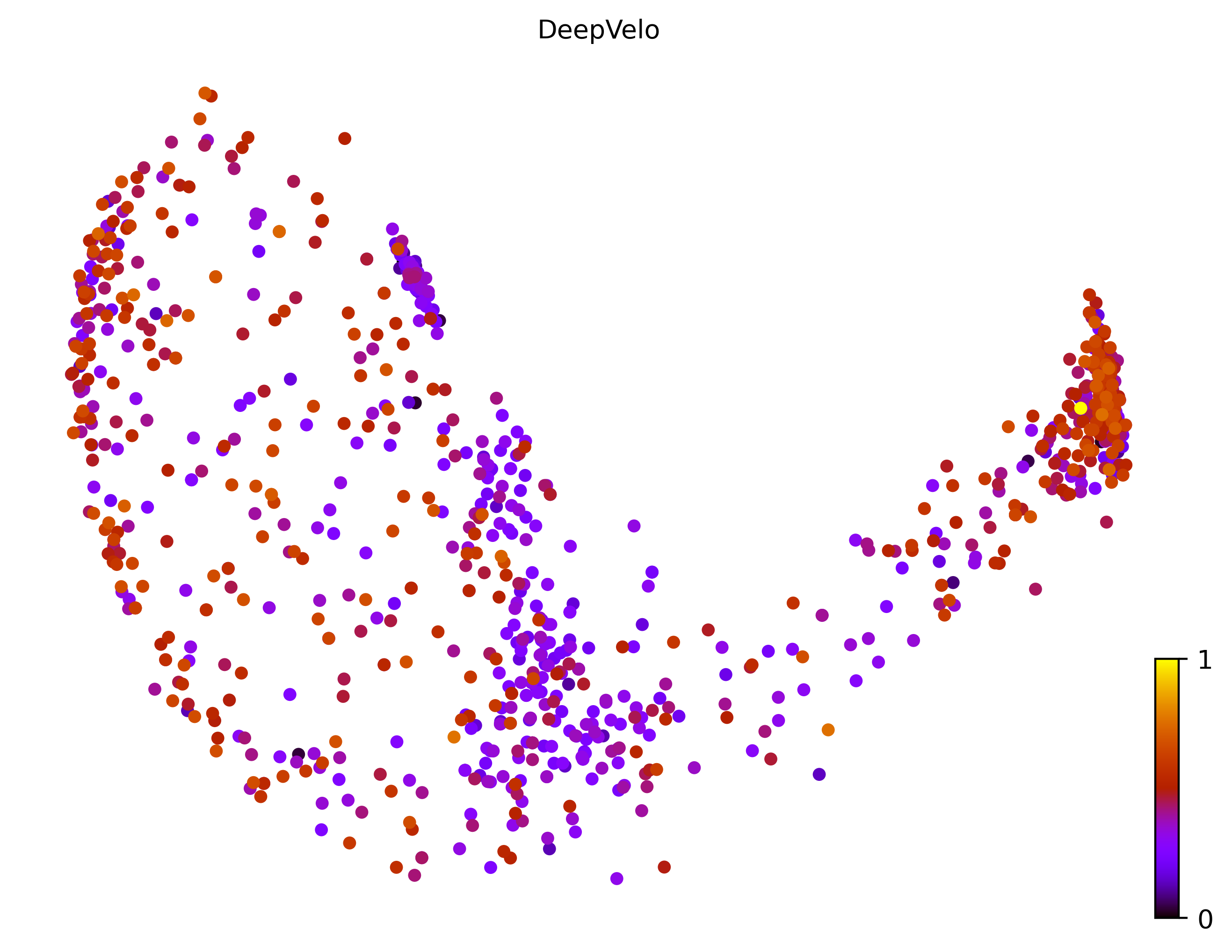 7_bifurcating_loop_cell1000_gene10000_pseudotime