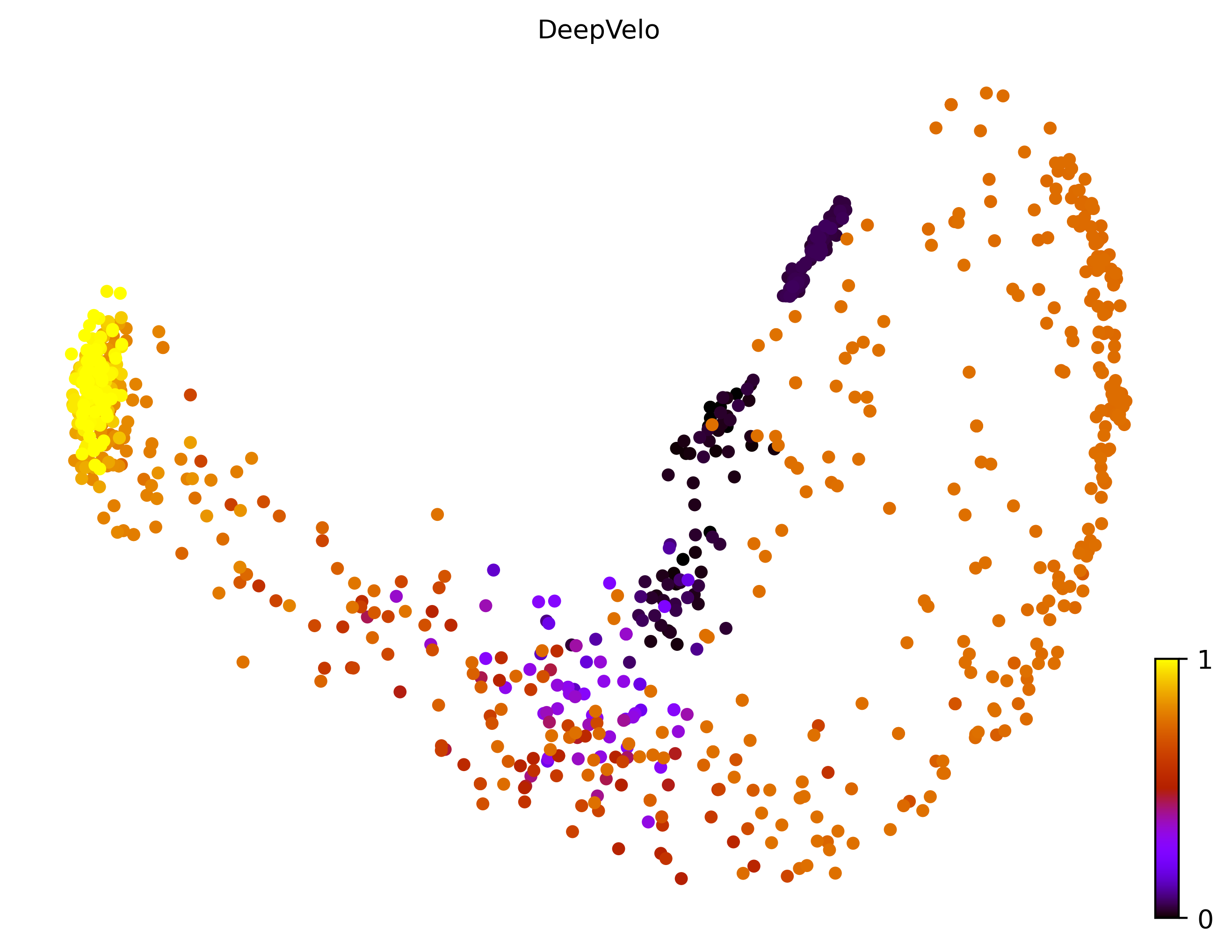 8_bifurcating_loop_cell1000_gene10000_pseudotime