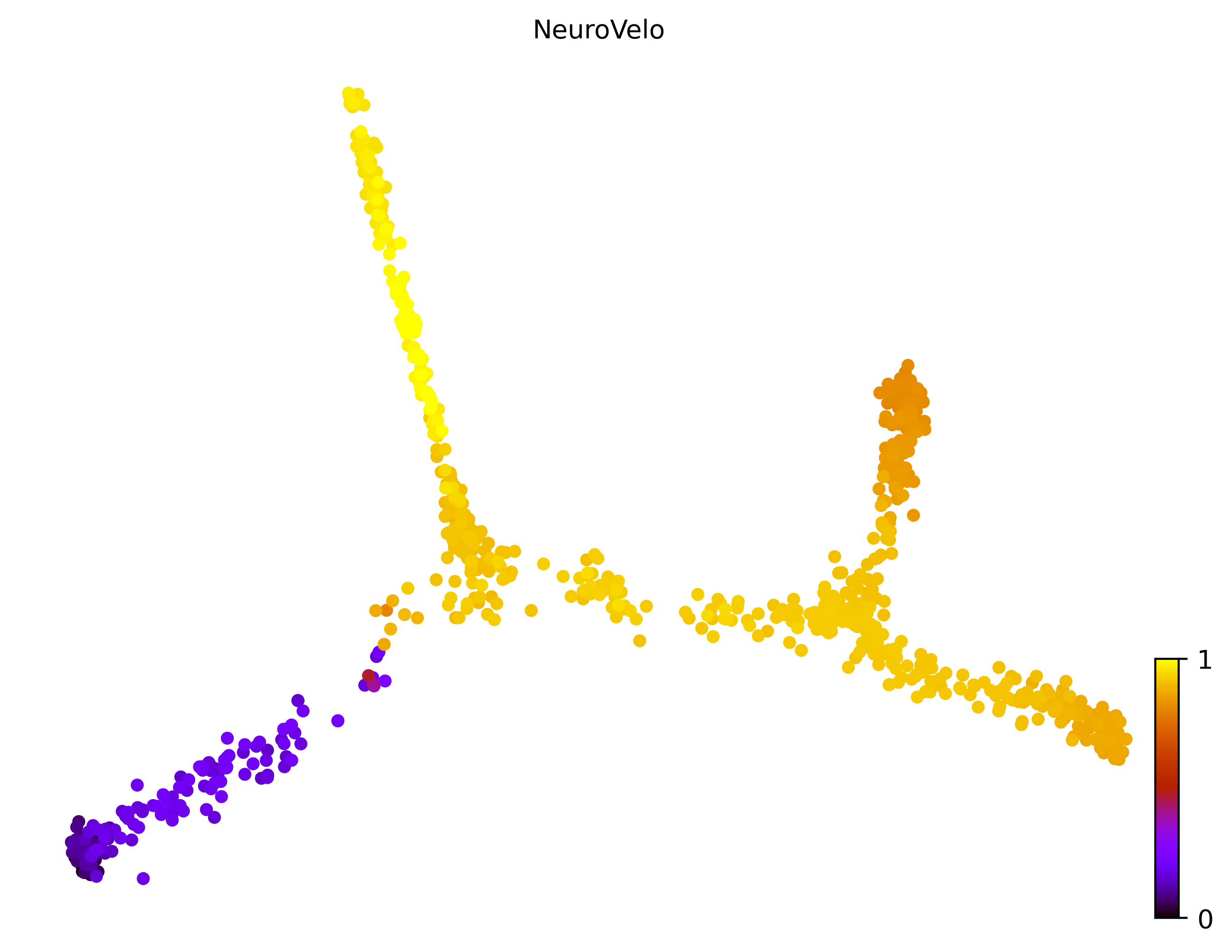 10_consecutive_bifurcating_cell1000_gene10000_pseudotime