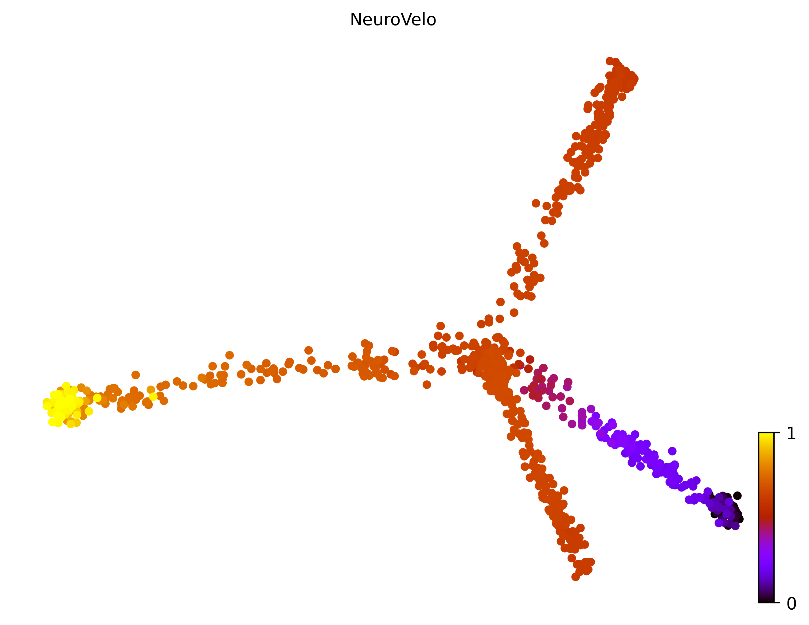 13_trifurcating_cell1000_gene10000_pseudotime