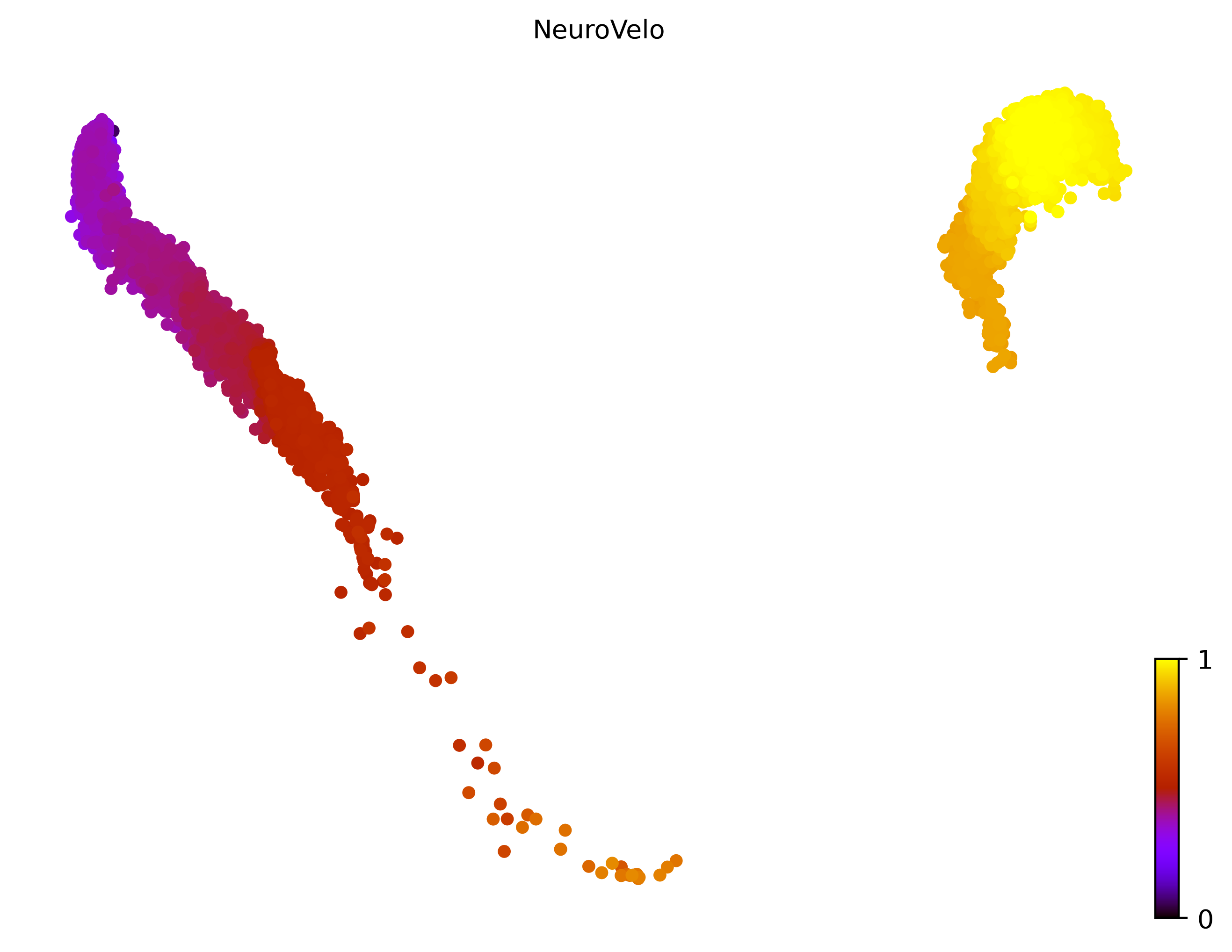 15_linear_linear_cell10000_gene500_pseudotime