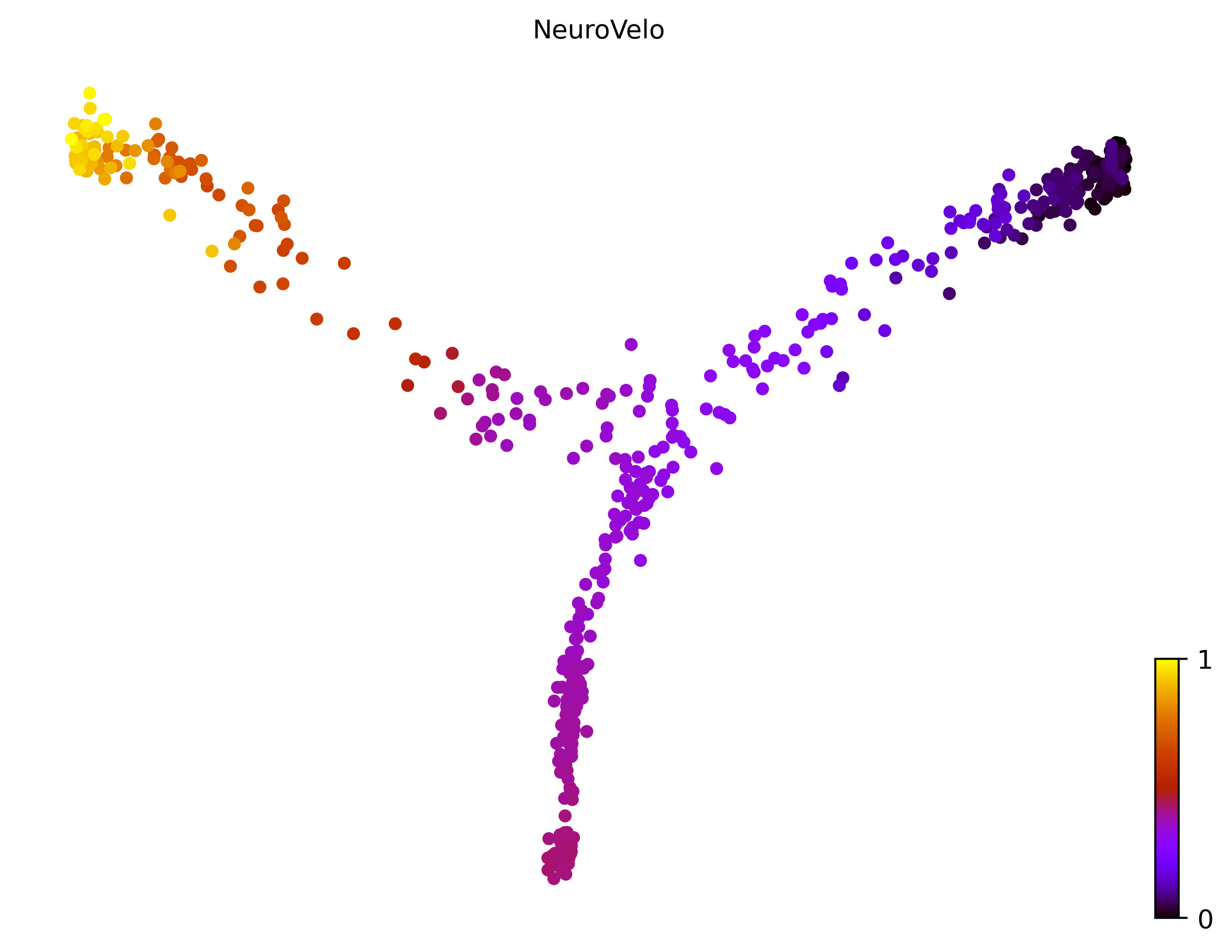 16_bifurcating_cell500_gene500_pseudotime