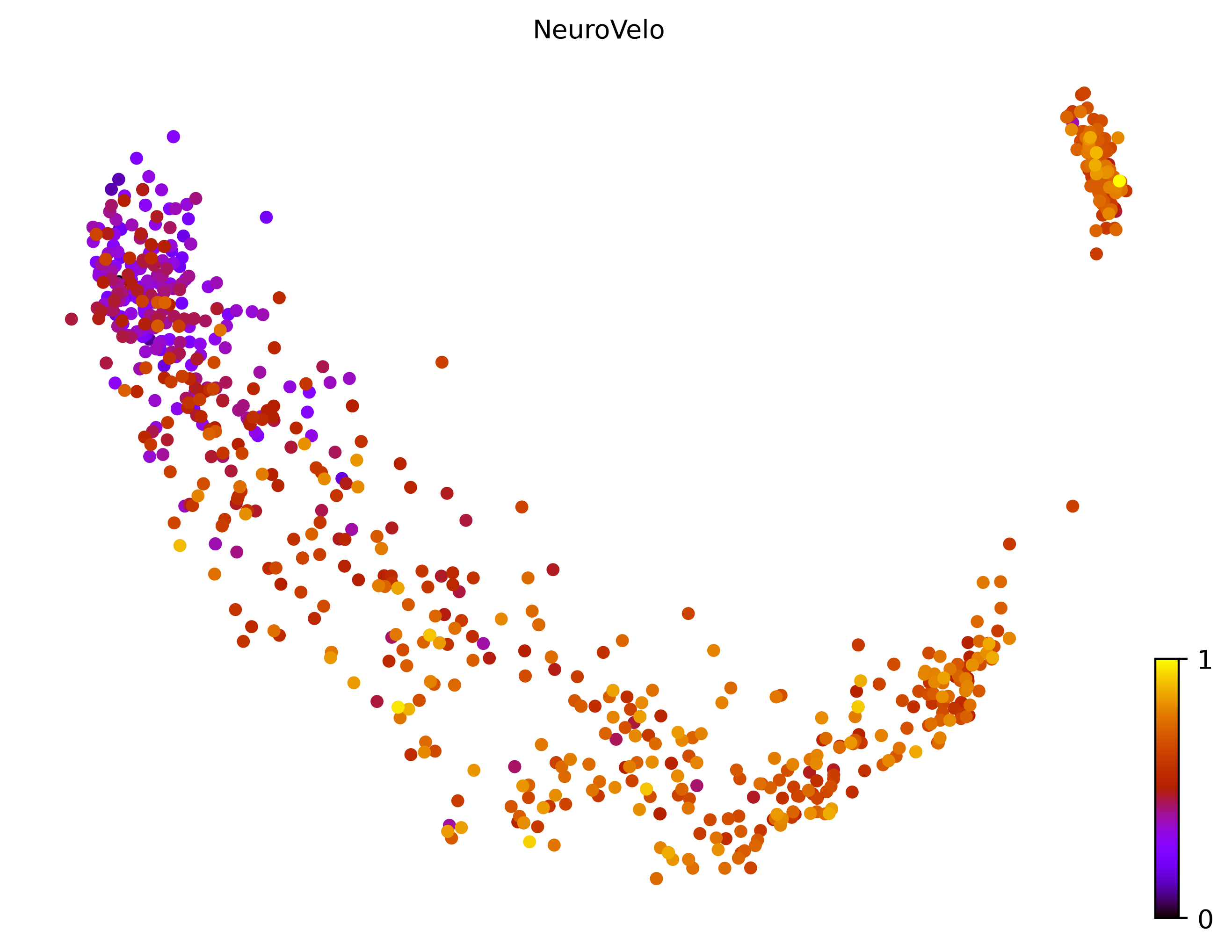 1_linear_simple_cell1000_gene10000_pseudotime