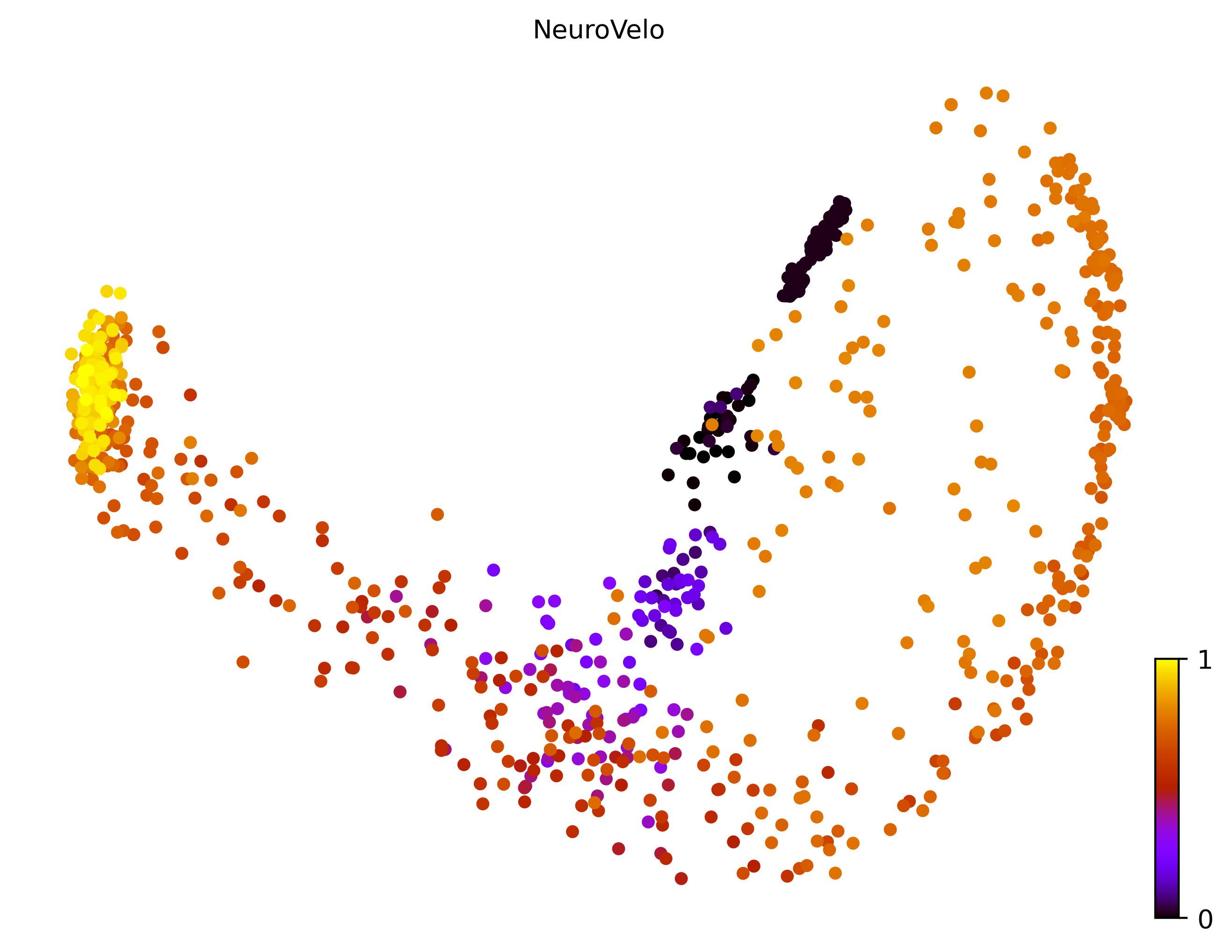 8_bifurcating_loop_cell1000_gene10000_pseudotime