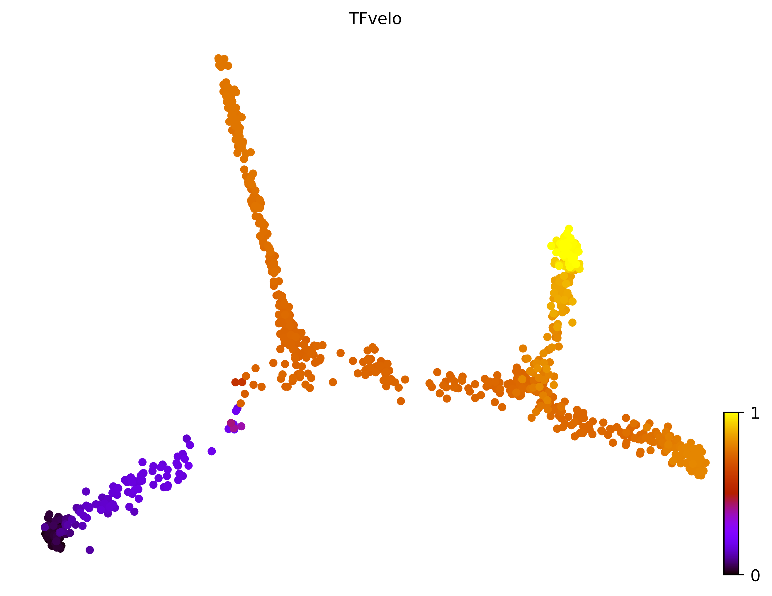 10_consecutive_bifurcating_cell1000_gene10000_pseudotime