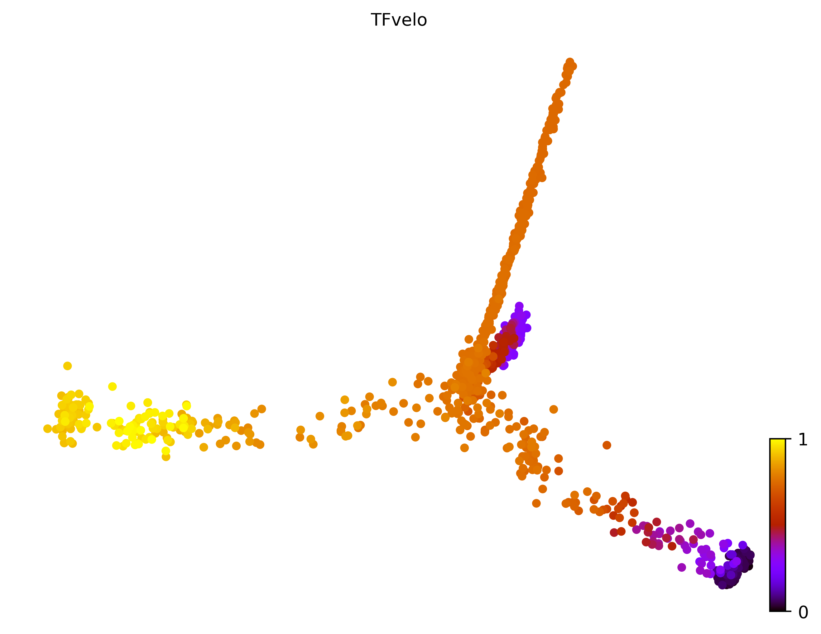 11_trifurcating_cell1000_gene10000_pseudotime