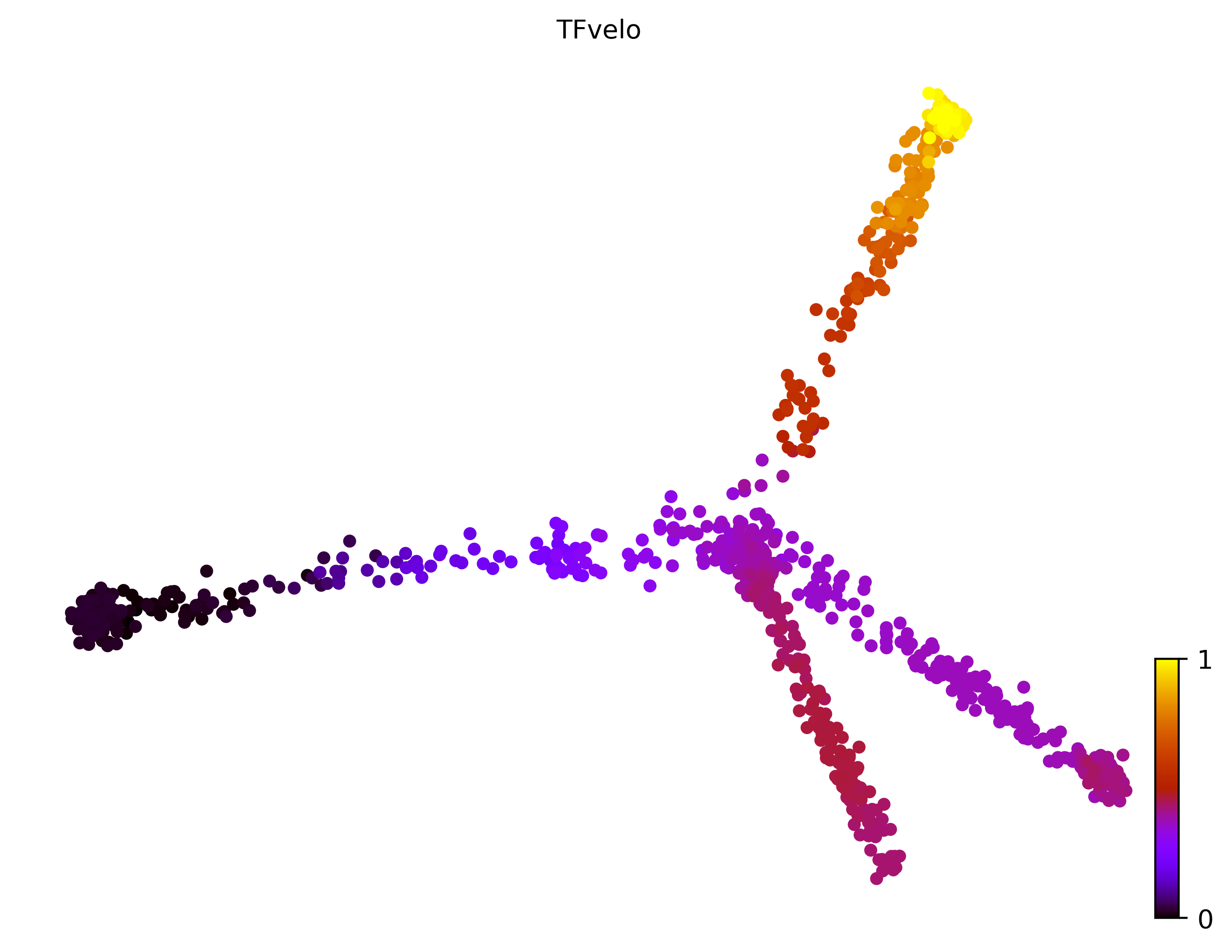 13_trifurcating_cell1000_gene10000_pseudotime