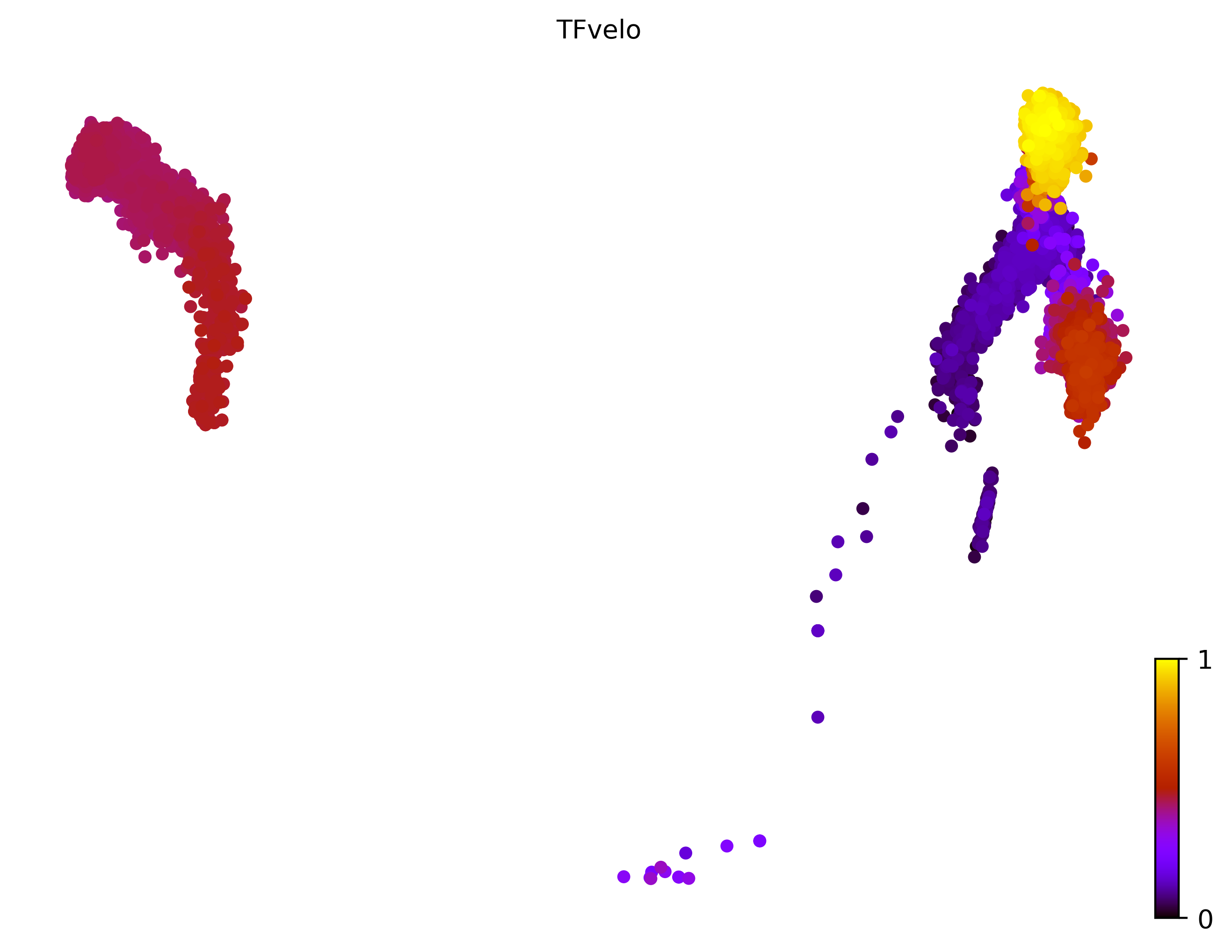 14_linear_bifurcating_cell10000_gene1000_pseudotime