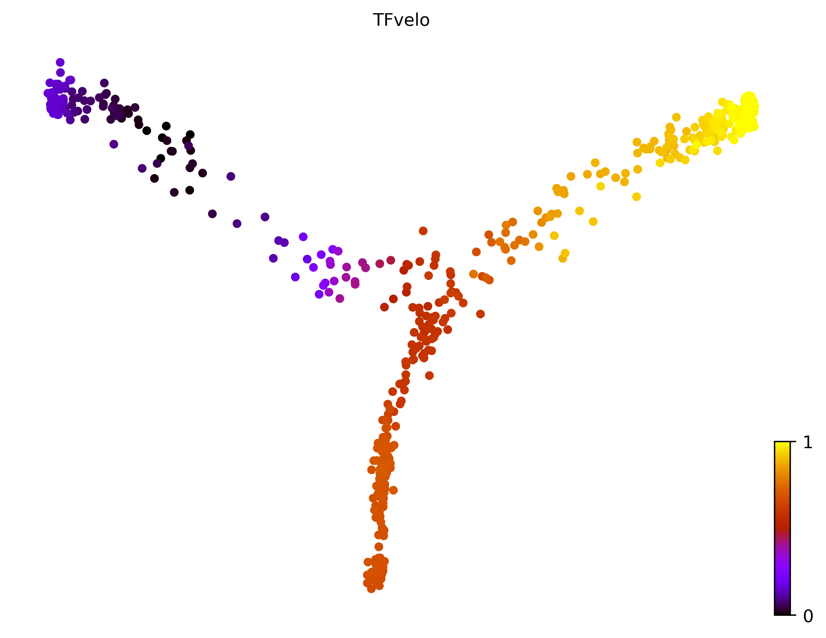 16_bifurcating_cell500_gene500_pseudotime
