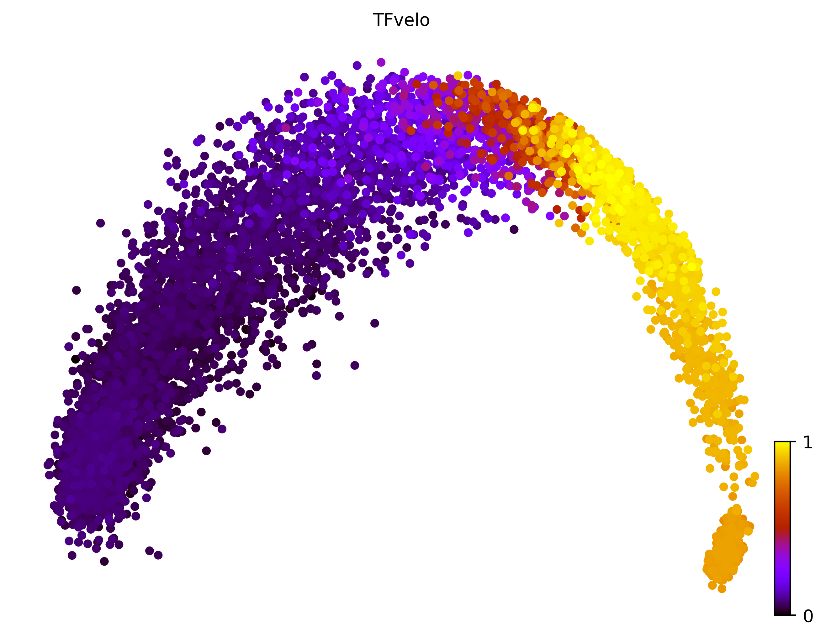 2_linear_simple_c10000_gene1000_pseudotime