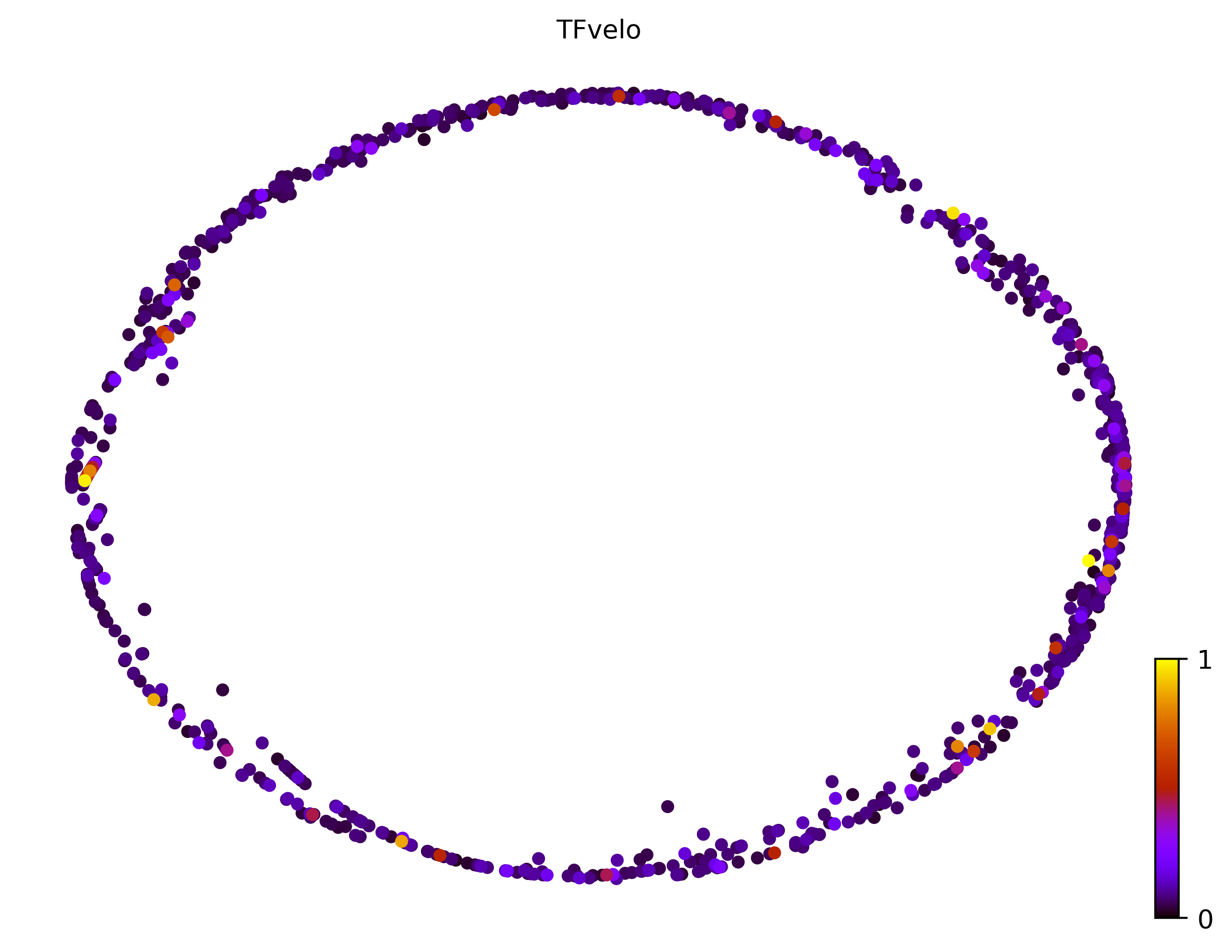 4_cycle_simple_cell1000_gene10000_pseudotime