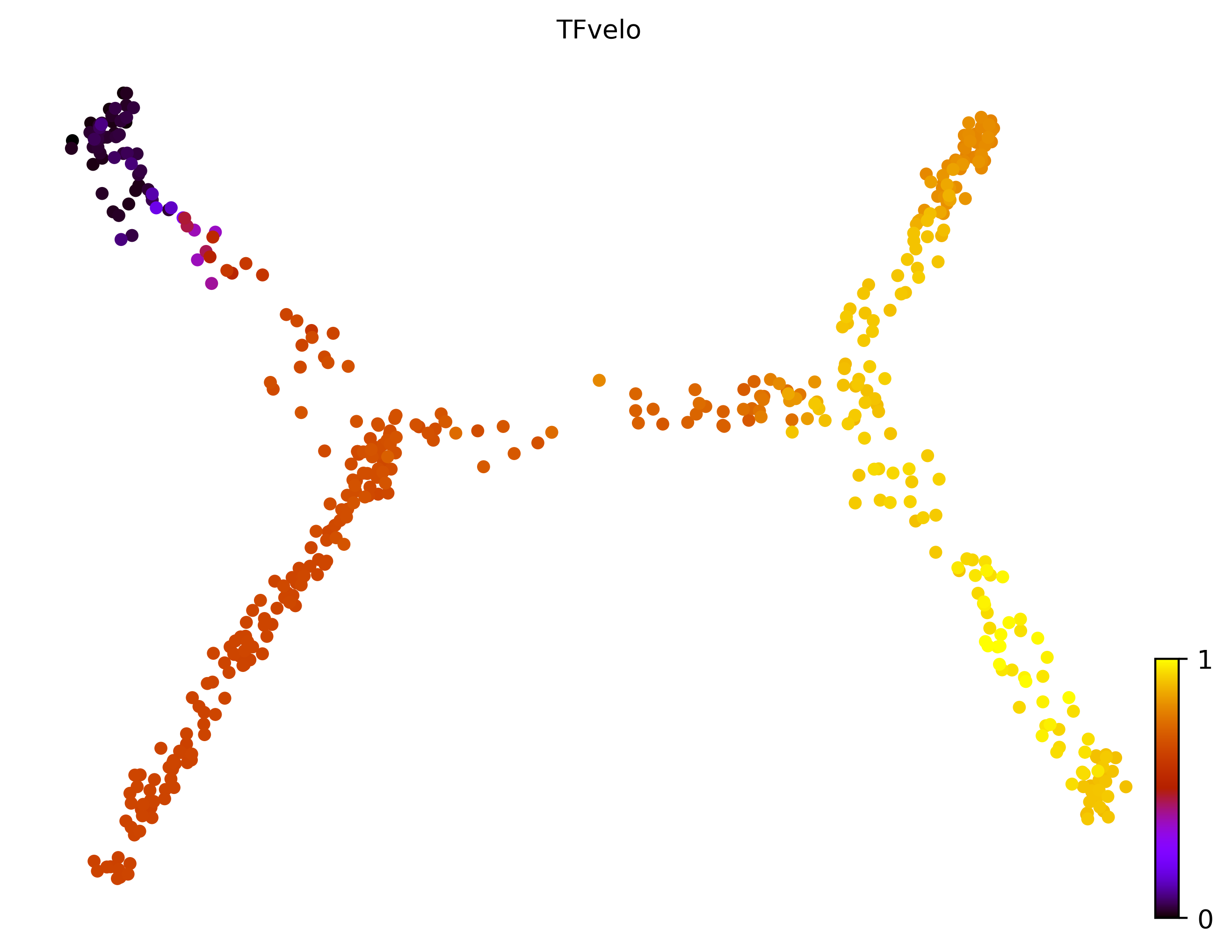 9_consecutive_bifurcating_cell500_gene10000_pseudotime