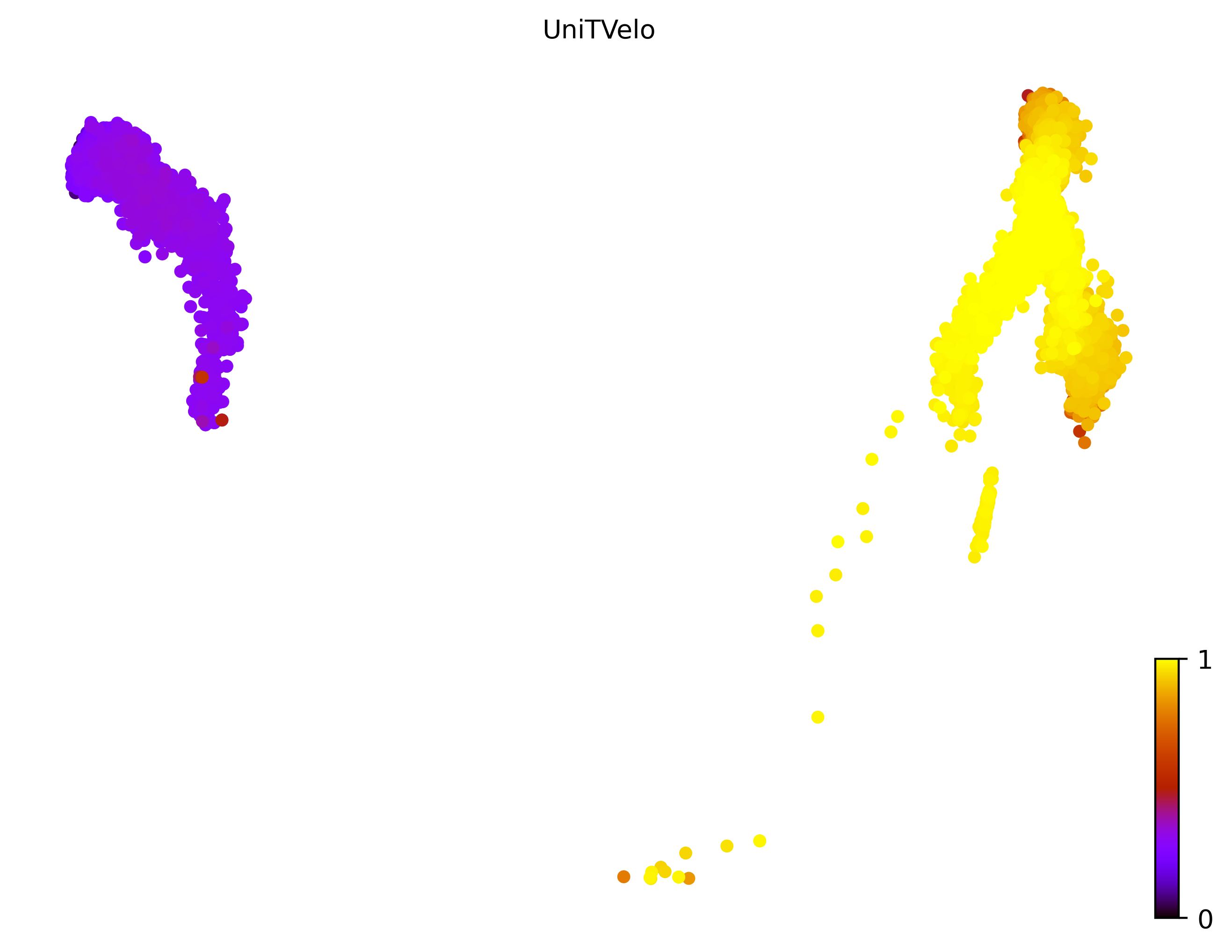 14_linear_bifurcating_cell10000_gene1000_pseudotime