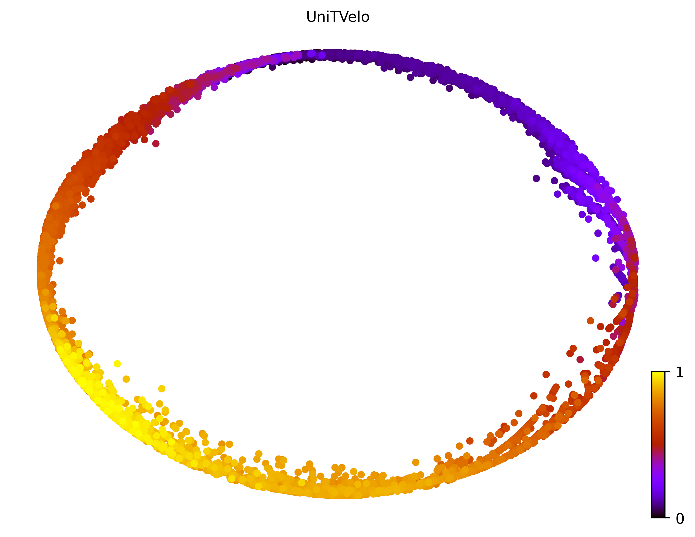 3_cycle_simple_cell10000_gene1000_pseudotime