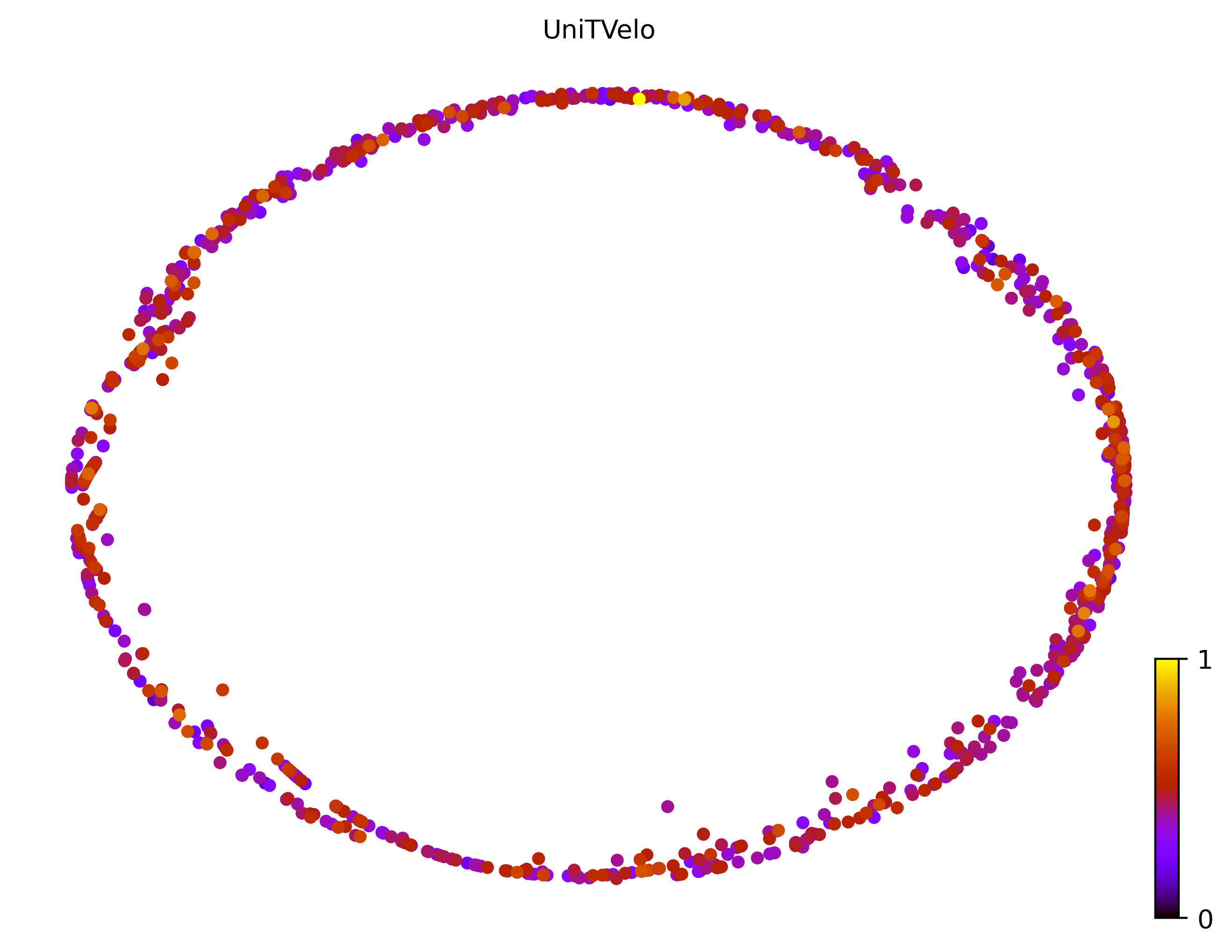 4_cycle_simple_cell1000_gene10000_pseudotime