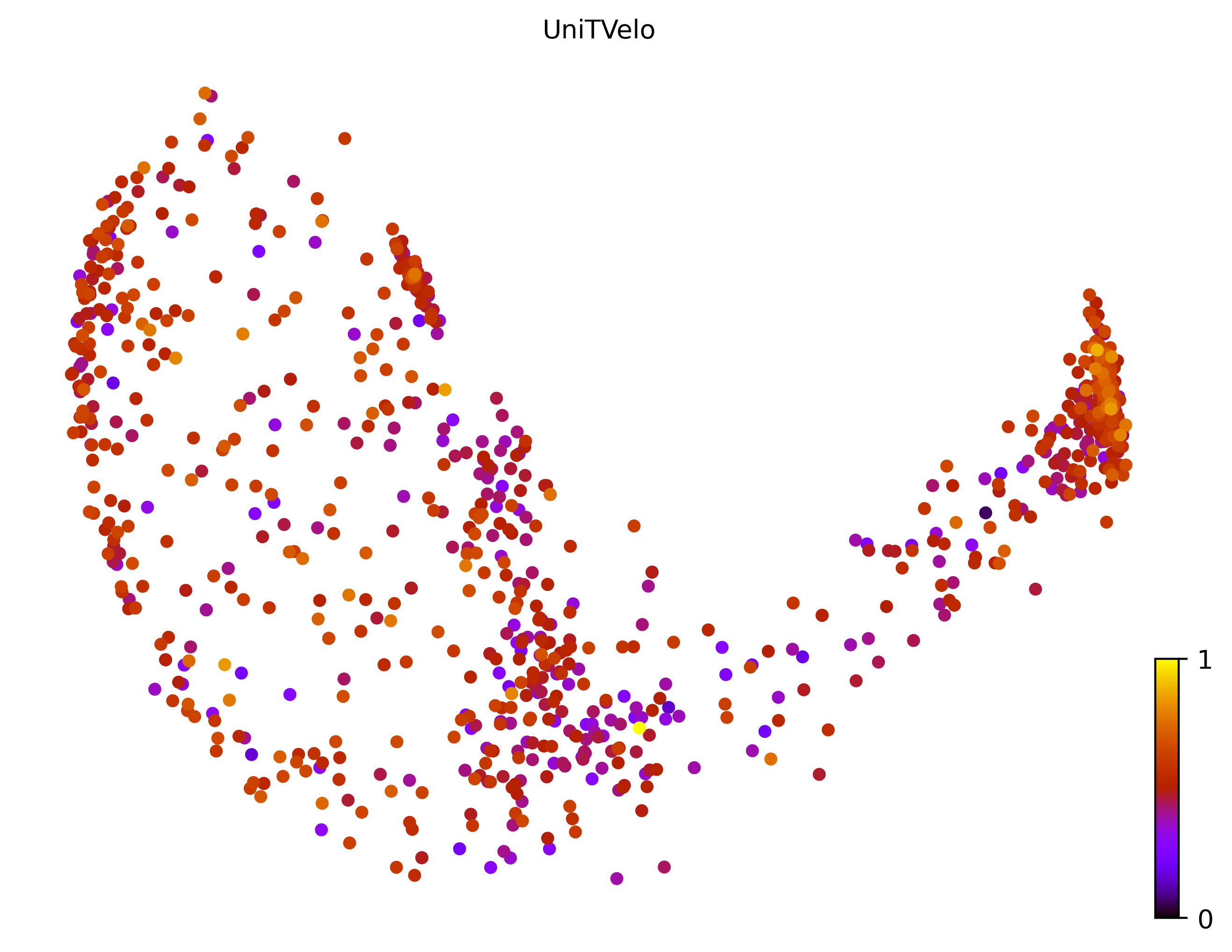 7_bifurcating_loop_cell1000_gene10000_pseudotime
